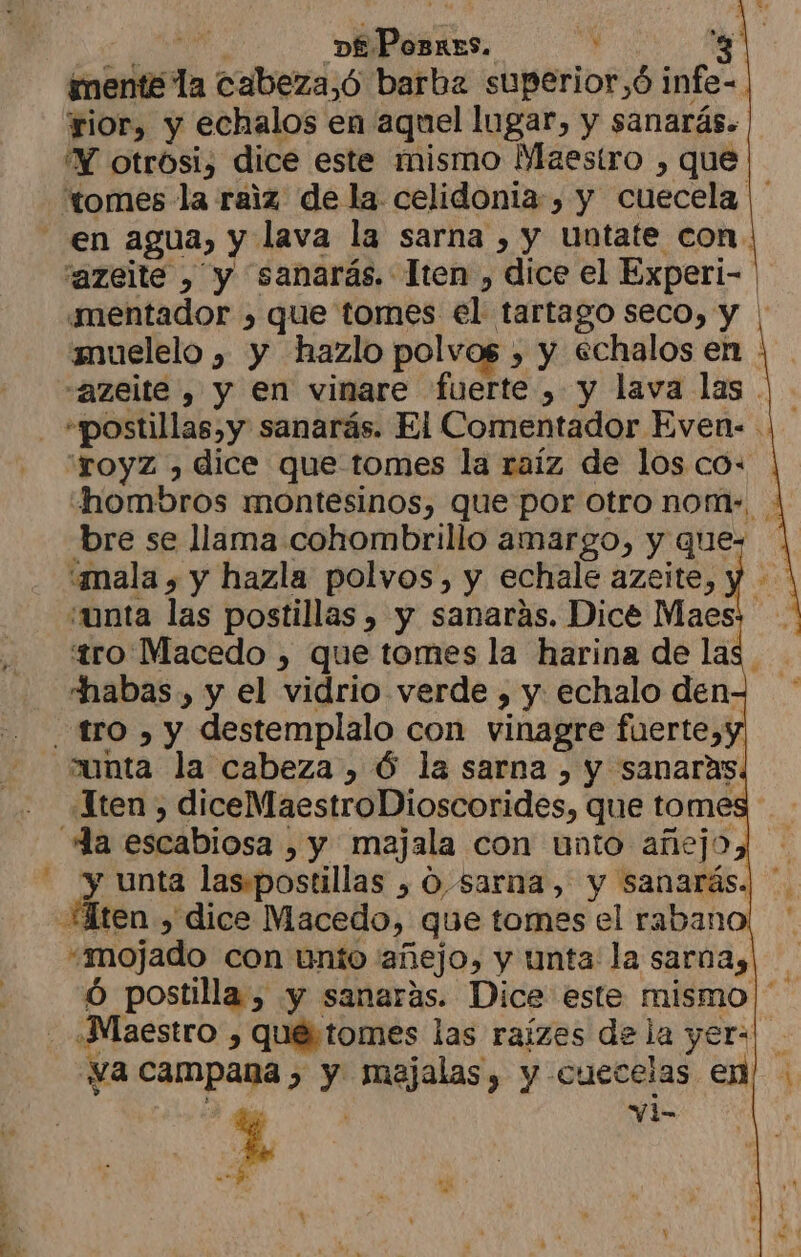 A D£Posxes. y q imenté la cabeza,ó barba superior,ó infe- rior, y echalos en aquel lugar, y sanarás. Y otróosi, dice este mismo Maestro , que tomes la raiz de la celidonia, y cuecela | en agua, y lava la sarna , y untate con. 'azeite , y sanarás. lten , dice el Experil- “mentador , que tomes el tartago seco, y muelelo , y hazlo polvos , y echalos en : “azeite , y en vinare fuerte , y lava las |. - postillas,y sanarás. El Comentador Even- '“royz , dice que tomes la raíz de los co: «hombros montesinos, que por otro nom», bre se llama cohombrillo amargo, y que- “mala , y hazla polvos, y echale azeite, y - ¿unta las postillas , y sanarás. Dice Maes ro Macedo , que tomes la harina de las. habas, y el vidrio verde , y echalo den- tro , y destemplalo con vinagre fuerte); unta la cabeza, Ó la sarna , y sanaras. ten , diceMaestroDioscorides, que tomes la escabiosa , y majala con unto añejo - y unta las.postillas , 0 sarna, y sanarás. Miten > dice Macedo, que tomes el raban «mojado con unio 'añejo, y unta: la sarnay! Ó postilla , y sanarás. Dice este mismo «Maestro , quétomes las raizes de la yers va campana, y majalas, y cuecelas en : de $