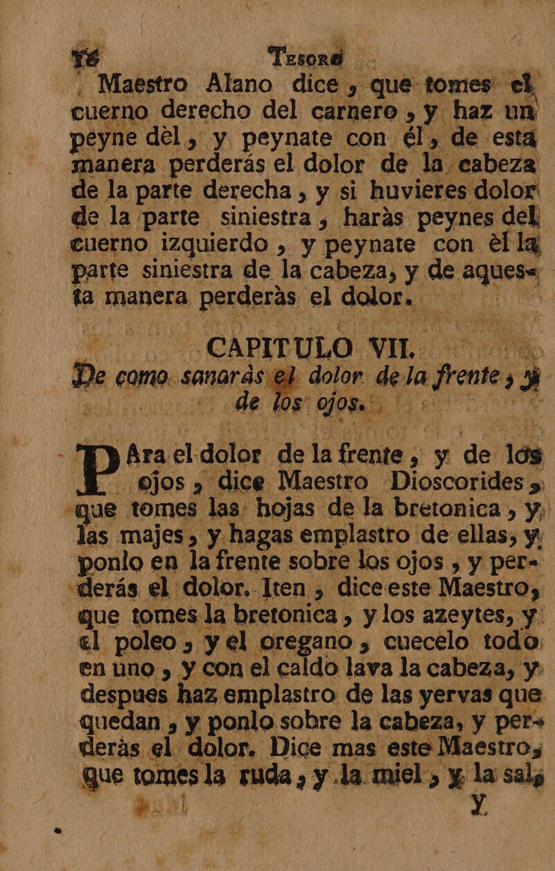 re ad uabirto: Alano dice y que tomes el, cuerno derecho del carnero , y haz un peyne del, y peynate con. él, de esta manera perderás el dolor de la eabeza de la parte derecha , y si huvieres dolor de la parte siniestra , harás peynes del cuerno izquierdo , y peynate con ella parte siniestra de la cabeza, y de aquesa ta Imanera perderás el dolor... EN | | -CAPIT ULO vir. ) j Deo como. sañarás dolor. me la Frente, 3 3 | j /05' ojos. qe y Ara El dólór de la frente , 9 y de 109 ojos y dice Maestro Dioscorides y. -que tomes las. hojas de la bretonica , y; las majes , y hagas emplastro de ellas, y: ponlo en la frente sobre los ojos , y per= «derás el dolor. Iten , diceeste Maestro, que tomes la bretonica , y los azeytes, y: el poleo > y el oregano 3 cuecelo todo: en uno , y con el caldo lava la cabeza, y. despues haz emplastro de las yervas que quedan , y ponlo sobre la cabeza, y per» derás el dolor. Dice mas este Maestros gue > de ruda , y la miel, y la sal; el y,