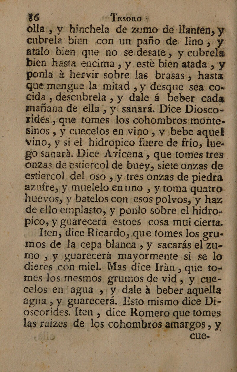 olla, y hinchela de zumo de llanten, y cubrela bien con un paño de. lino ee atalo bien que no se.desate, y cubrela bien hasta encima , y. esté bien atada , y ponla a hervir sobre las brasas , hasta. que mengue la mitad , y desque sea Co» cida , descubrela , y dale á beber cada mañana de ella, y: sanará. Dice Diosco- rides , que tomes los cohombros:monte- sinos , y cuecelos en vino, y «bebe aquel vino, y si el hidropico fuere de frio, lue- go sanará. Dice Avicena , que tomes tres onzas de estiercol de buey, siete onzas de huevos, y batelos con esos polvos, y haz de ello emplasto, y ponlo sobre el hidro- Iten, dice Ricardo,.que tomes los gru- mos de la cepa blanca , y sacarás el zu- - IO , y Suareceráa mayormente si se lo dieres con miel. Mas dice Irán, que to= mes los rmesmos grumos de vid , y cue- celos en agua , y dale a beber aquella agua , y guarecerá. Esto mismo dice Di- oscorides. [ten , dice Romero que tomes las raízes de los cohombros amargos , y, Ls o. Ccue- >