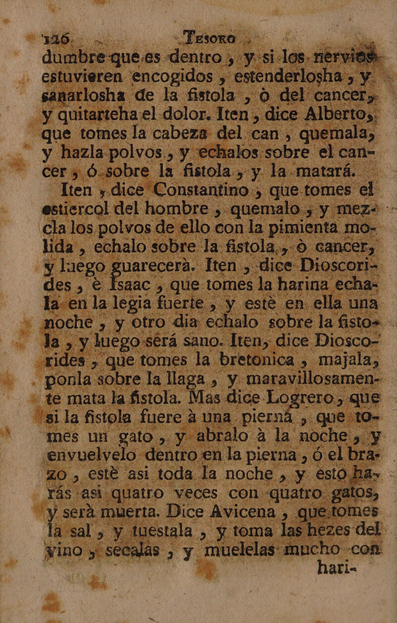 A pS Tesoro... Ns dumbre que: es «dentro , y-si:los. nérviah- estuvieren encogidos , estenderlosha. &gt; A sanarlosha de la fistola , O del a y quitarteha el dolor. Iten , dice AlDactos: que tomes la cabeza del can , quemala, y hazla polvos, y 'echalos sobre el can= Iten y dice Constantino.» que tomes el estiercol del hombre ,. quemalo , y mez- cla los polvos de ello con la pimienta mo- lida , echalo sobre la: fistola,, O cancer, y aca, ruarecerá. Iten , dice Dioscori- des , e Isaac , que tomes la harina echa= la en la legia fuerle ; &gt; y este en. ella una noche , y Otro dia. echalo sobre la fistos - da, y luego- será sano. Iten, dice Diosco- rides , que tomes la. bretonica , majala, . ponla sobre la llaga , y maravillosamen- te mata la fistola. Mas dice Logrero, que si la fistola fuere á una. es sá &gt; Que t0= mes un gato, y abralo a la noche &gt; y .envuelvelo dentro. en la pierna, ó.el bra» ZO , esté asi toda la noche , y esto ha» rás: asi. quatro veces con quatro gatos, - Y será muerta. Dice Avicena , que:tomes a sal , y tuestala , y toma las hezes del vino y secalas , y muelelas: div -coñ: ari-