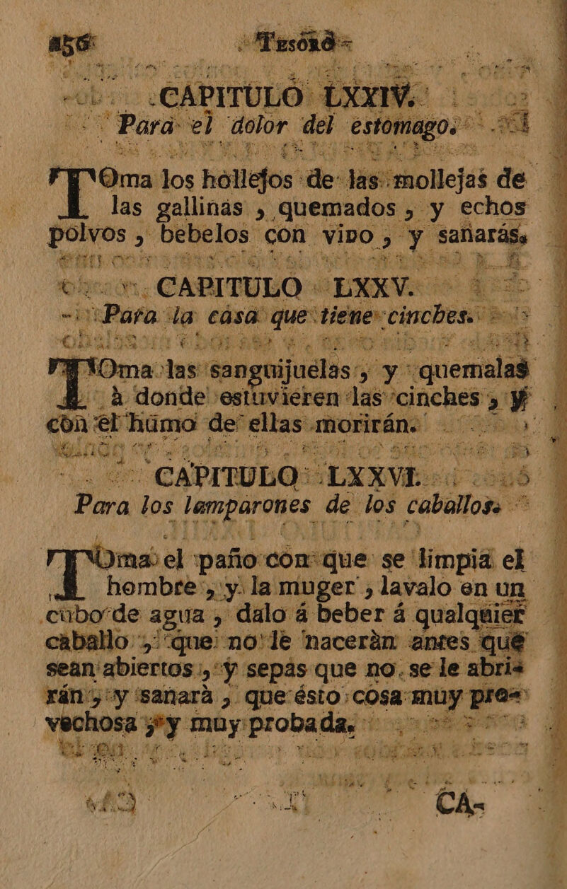cub PITULO XXIV mo Para: el olor del estomago. dl ¡ ma. los hallefos' dede 'snollejas de las gallinas ,. quemados » y echos polos iS bebelos oh vIDO A e4 sañarág, SUOA E A E E CAPITULO + EXXV. iy Para: da cósa que: tiene” inches Bol OR S O 50 Y 008 A Oma. las: senguijuelas , he y: ¿nea A donde estuvieren las 'cinches; el Y. con el húmo de” ellas cri 97 A 7 30 - CAPITULO: ¿LXXVE- sed cau Pura los Lamparones de los caballozo bmael paño: con: que se 'dimpia e hombre». y. la muger , lavalo enun cuborde agua , daloá beber á qualquief A caballo “que: no'le 'nacerán «antes. qué sean abiertos ;, “Y sepas que no. se le abris rán y 'sanará , queésto; cosa pl ad iodo pod «jes SAR na hb: ¿A Ls y RR Mita see . y £ e a S A