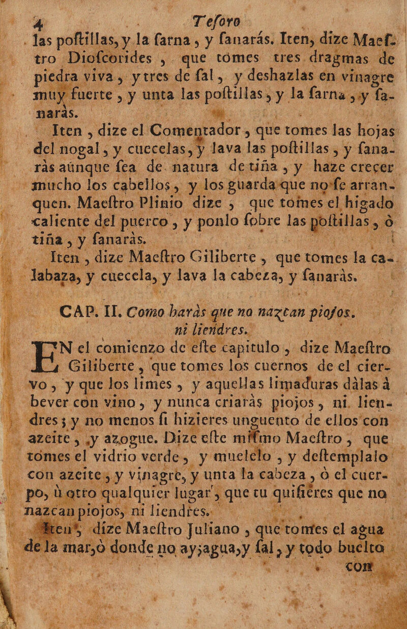 Teforo Ml e L poftillas, y la farna, y lanarás. Tren, dize Maefa &gt;! orides , y que tómes tres. dragmas. de | viva, ytres de lal, y deshazlas en vinagre m erte &gt; q unta las polti q y: la hs y la maras. o. A me del aa ; y a lava dl pobilas y 3.y. ps Tas Al fea de nara detiña , y haze crecer a Malas guardaque no fe arran= ll: alles Plisio dize $ que toímes el higado. e del p Ne CO) y E a ia las y bea o ad o + CAD. TH. Como e did no hc piajos, mi liemdres. TN el comienzo de efte capitulo. dize Macltro XA, -Giliberte, y que tomes los cuernos de el cier= YO, y quel los limes » y aquellas limaduras dálas 3 a - bever con vino &gt; y nunca criaras piojos , ni. lien- odres; y 1 no menos Ít hizieres unguento de ellos'con _AZEILO , &gt; y azogue. Dize ofte mimo Macítro , que tomes el vidrio verde sy muelelo Y Ea y vinagre, y unta la cabeza , Ó el cuer- E uier lugar”. 3 que cu quifiéres que na. 1ojo: ¡ liendieso A Ea dl dize Macltro Juliano , quetontes el agu Pa ] ad no AyaBay ul 2 A 1do buelta