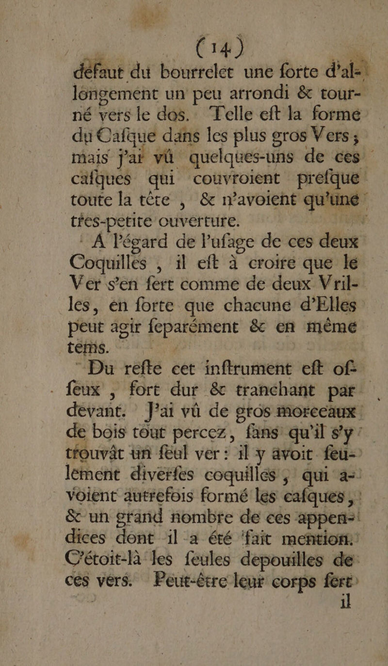 Vi ue CRT 0 défaut du bourrelet une forte dal longement un peu arrondi &amp; tour- né vers le dos. Telle eft la formé du Cafque dans les plus gros Vers; mais j'ai vû quelques-uns de ces cafques qui couvroient preéfque toute la tête | &amp; n’avoient qu'uné tfes-petite ouverture. 1200 TPE À Pégard de lufage de ces deux _Coquilles , il eft à croire que lé Ver s’en fert comme de deux Vril- lés, én forte que chacune d’Elles peut agir feparément &amp; en même tem. ST Du refte cet inftrument eft of: - feux ; fort dur &amp;c tranchant par devant, fai vû de gros morceaux: de bois tout percez, fans qu'il s'y: tfouvât un feul ver : il y ävoit feu- lement diverfes coquilles, qui a vôient autrefois formé les eafques, : &amp; un grand nombre de ces appen-! dices dont il a été ‘fait mention: C'étoit-Rà les feules depouilles de: ces vérs. Peut-être leur corps fert | | il