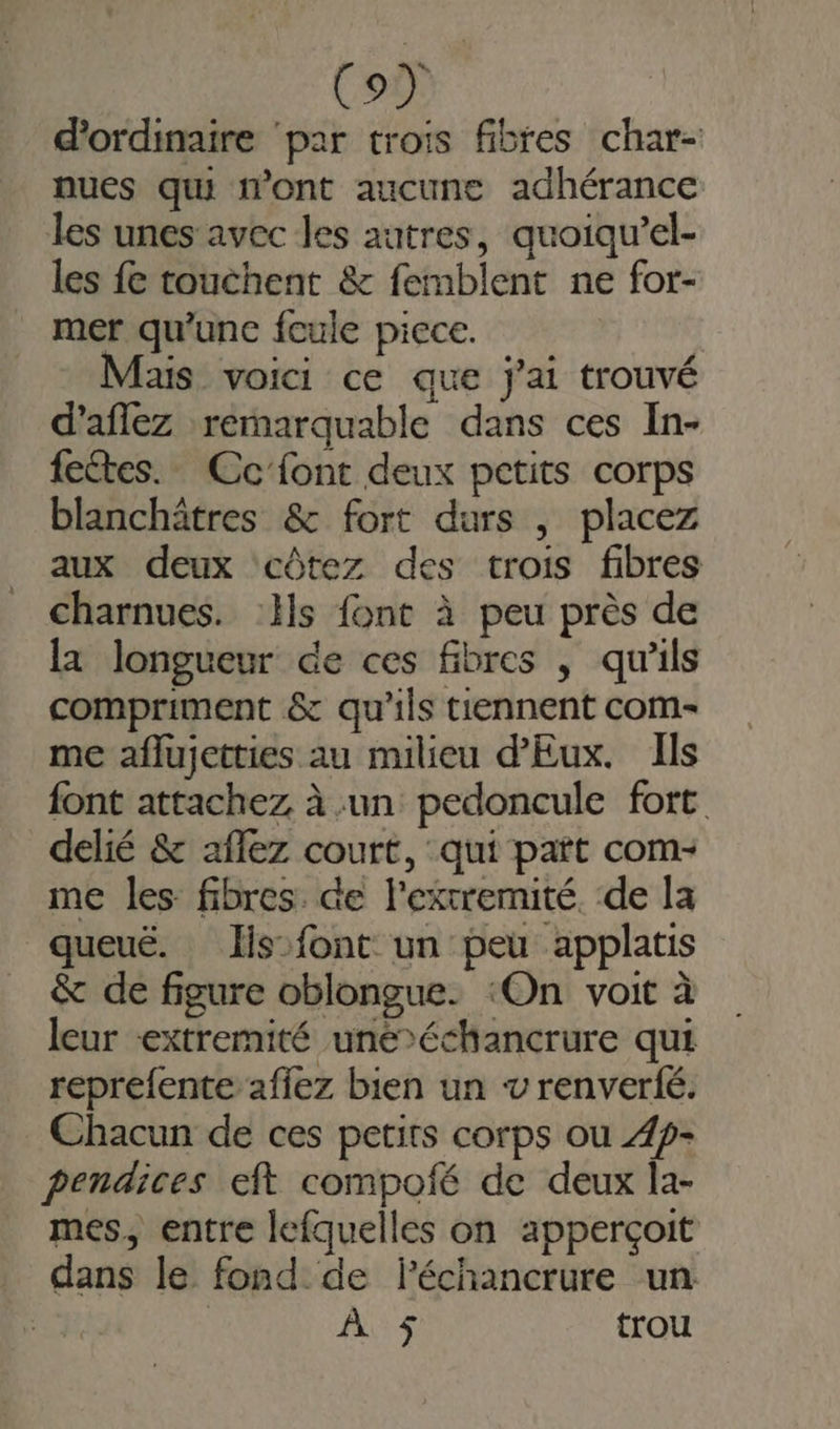 d'ordinaire ‘par trois fibres char- nues qui n’ont aucune adhérance les unes avec les autres, quoiqu’el- les fe touchent &amp; femblent ne for- mer qu’unc fcule piece. | als. voici ce que j'ai trouvé d'aflez remarquable dans ces In- fectes. Cc'font deux petits corps blanchätres &amp; fort durs , placez aux deux côtez des trois fibres charnues. Hs font à peu près de la longueur de ces fibres , qu'ils compriment &amp; qu'ils tiennent com- me aflujetties au milieu d’Eux. Ils font attachez à un pedoncule fort. delié &amp; aflez court, qui part com- me les fibres. de l'extremité. de la queuë. lis:font un peu applatis &amp; de figure oblongue. ‘On voit à leur -extremité uneéchancrure qui reprefente affez bien un v renverfé. Chacun de ces petits corps ou 4p- pendices eft compofé de deux la- mes, entre lefquelles on apperçoit dans le fond de léchancrure un | À 5 trou