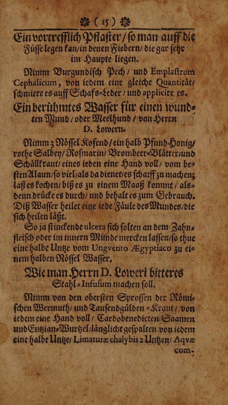 It. d ˙ Ay! Sa a 1 e ‘ 1 oy a ey 4 15 1 5 Zu } be) 4 ff hae Mayr ı ivortre * güff die | Siſſelegen kan / in denen Fiebern / die gar fett ee im Haupte liege. 0 * Nimm Burgundiſch Pech / und Ewplalttum . Cephalicum, von iedem eine gleiche Gente ey RE VVV es. i ae Sin berühmtes Waſſer für. einen wunde ie en M. und / ober Meelhund, 4 von e e eee . Lowern. ee. Nimm 3 ‚Nöffet Kofend fein Sat Pfand Honig / Lache Salben / Roſmarin / Brombeer⸗Blaͤtter und a Schaͤllkraut / eines teden eine Hand voll / vom be 1 ſten Alaun / ſo viel / als da dienet / es ſcharff zu machen Laß es kochen / biß es zu einem Maaß kommt / als⸗ denn druͤcke es durch / und behalt! es zum Gebrauch. 12 a Diß Waſſer heilet ben ede Säule des Mundes die 1 Pe ee ich heilen laßt. a So ja ſtinckende ulcera ich folten ¢ an dem Zahn a fleisch oder im innern Munde mercken laſſen / ſo thue eine halbe Untze vom Ungvento a ei⸗ gr un ie 1 71 5 Seabl⸗ Tidal age fol. Pu von den oberſten Sproſſen der be Wermuth und Tauſendguͤlden⸗Kraut / vnn iedem eine Hand voll / Cardobenedicten Saamen e undEntzian⸗Wurtzel langlicht geſpalten vontedent N Dr N com: e