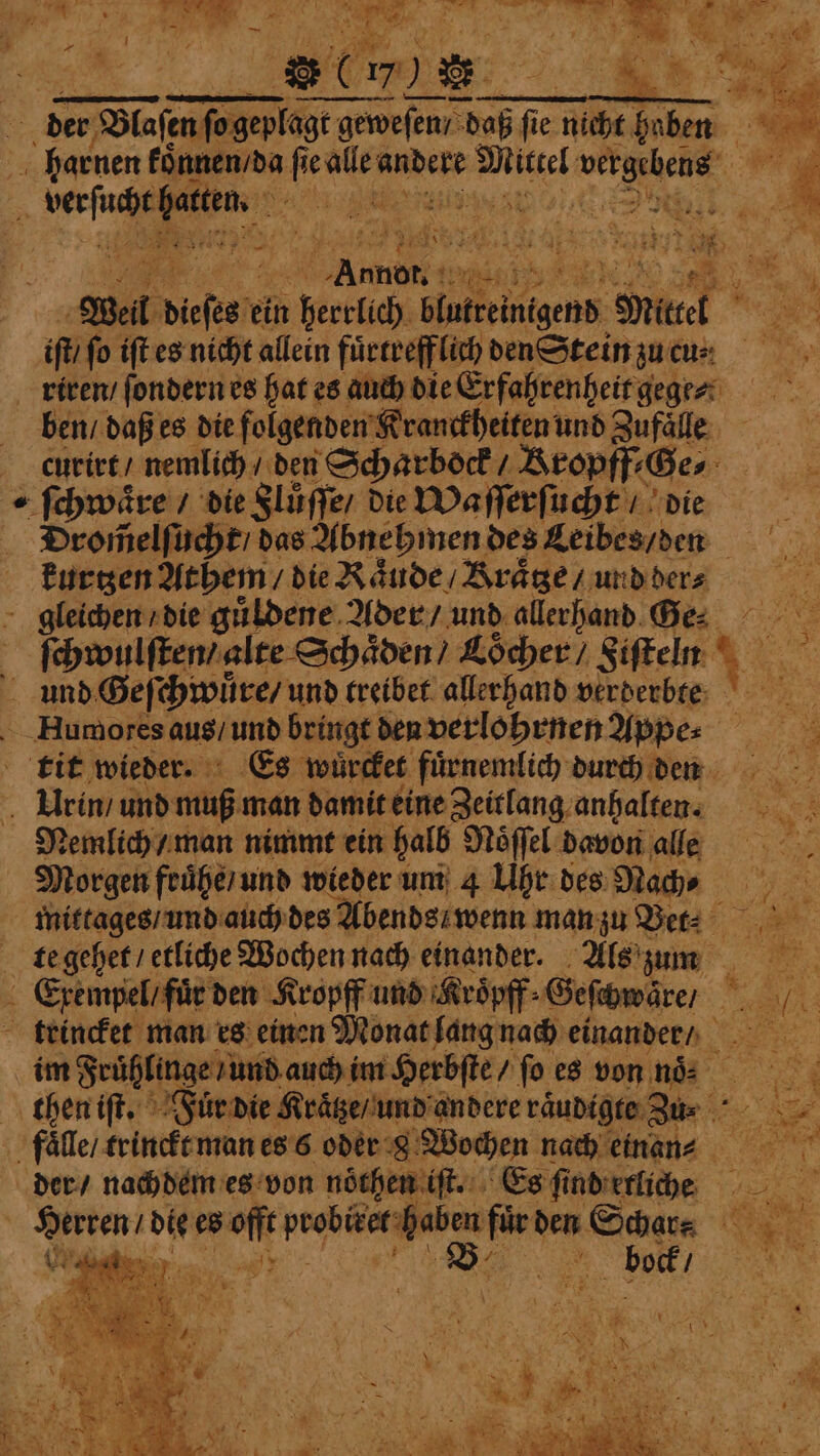 | ee see wae BER ge iſt / fo iſt es nicht allein fuͤrtreff lich den Stein zue cus: riren / ſondern es hat es auch die Erfahrenheit gege⸗ -§ Pe curirt / nemlich / den Scharbock / Bropff- Ge/ te Drom̃elſucht / das Abnehmen des Leibes / den kurtzen Athem die Kaͤude / Braͤtze urid der⸗ Nemlich / man nimmt ein halb Noͤſſel davon alle Morgen fruͤhe / und wieder um 4 Uhr des Nach ⸗ es: mittages / und auch des Abends wenn man zu Bet. te gehet / etliche Wochen nach einander. Als zum trincket man es einen Monat lang nach einander / im Frühlinge und auch im Herbſte 7 ſo es von noͤ . then iſt. Für die. Kraͤtze / und andere raͤudigte Zu⸗ Br 1 ; bock,