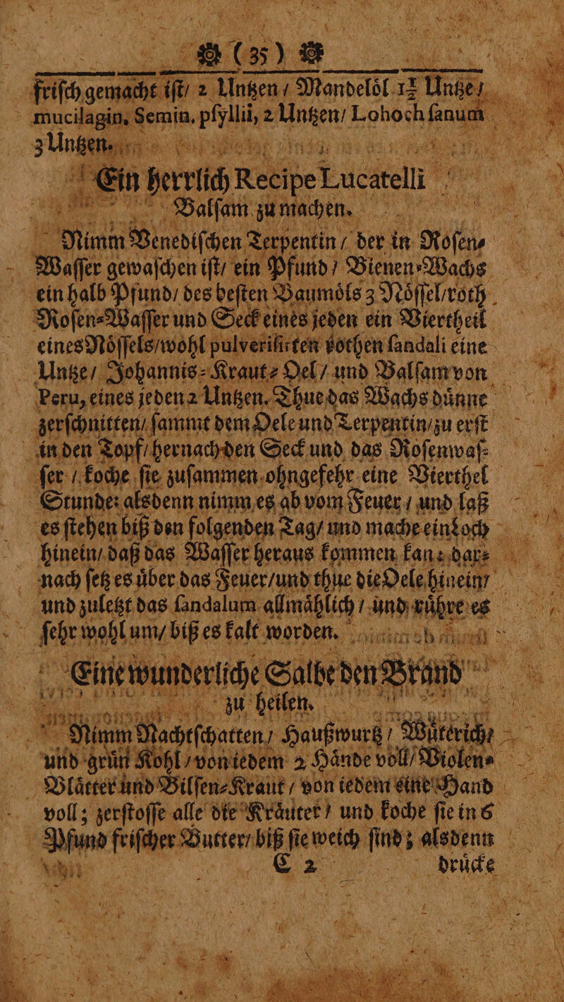 friſch gemacht a 5 Auen den Manvelet Peer? — F Roſen⸗W̃᷑ Untze / : berſchnitten / ſammt e dem Oele und Terpentin zue erſt in den Topf / hernach den Seck und das Noſenwaſ⸗ ſer / koche ‚fie, zuſammen ohngefehr eine Wierthel Stunde: alsdenn nimm es ab vom Feuer / und laß es sfiehen biß der en folgenden Tag / und m lache eindoch hinein / daß das Waffer heraus kommen kan: dare Re worden. 70 irn eh aed ER, Nee: * ; 1 oy! 1 Ein ew | mm 1 ch Hitt Kohl von tedem 2 Hände voll Vielen⸗ Blatter und Bilſen⸗Kraut / von iedem Damn i!