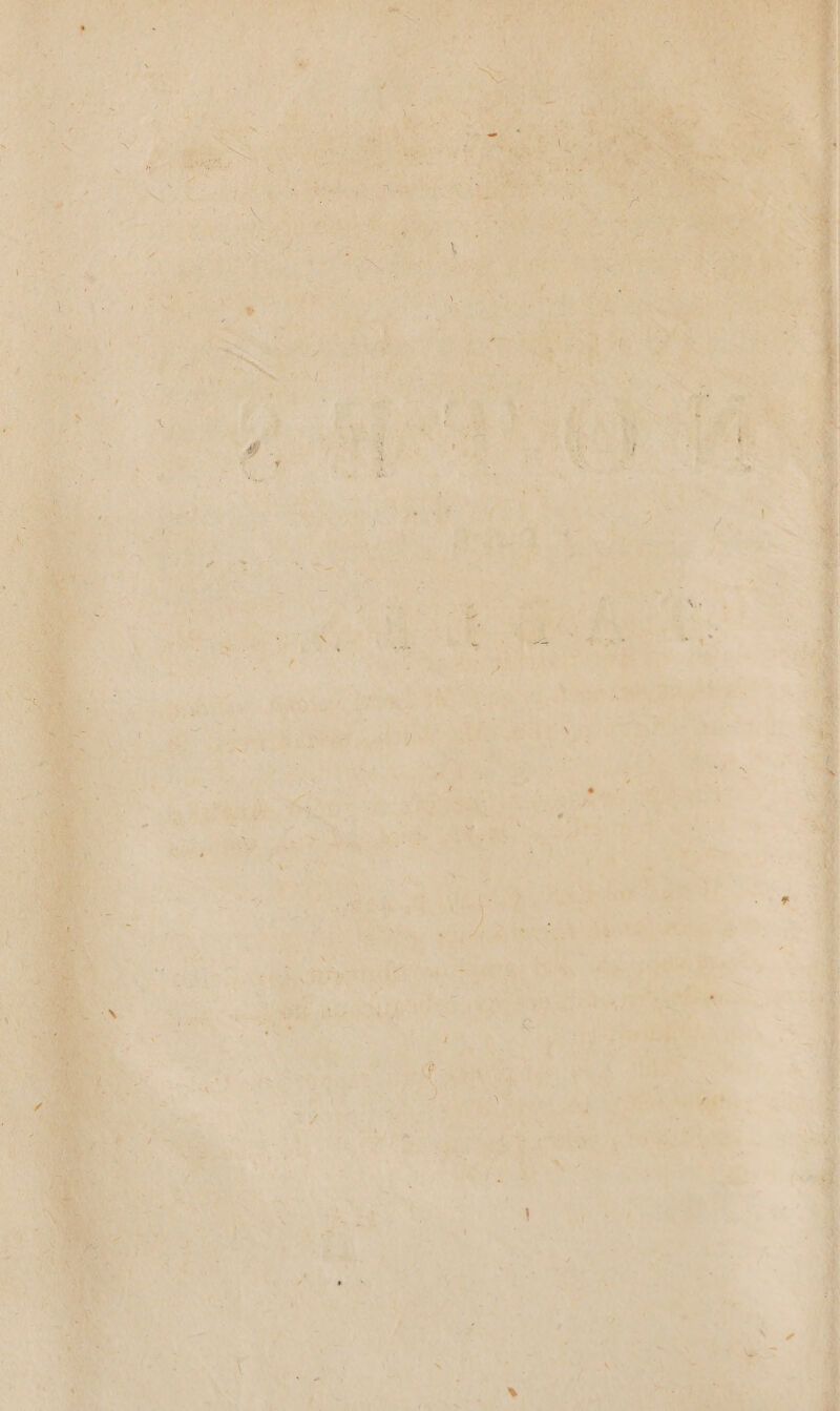 n J DA SUN PATRON PRE