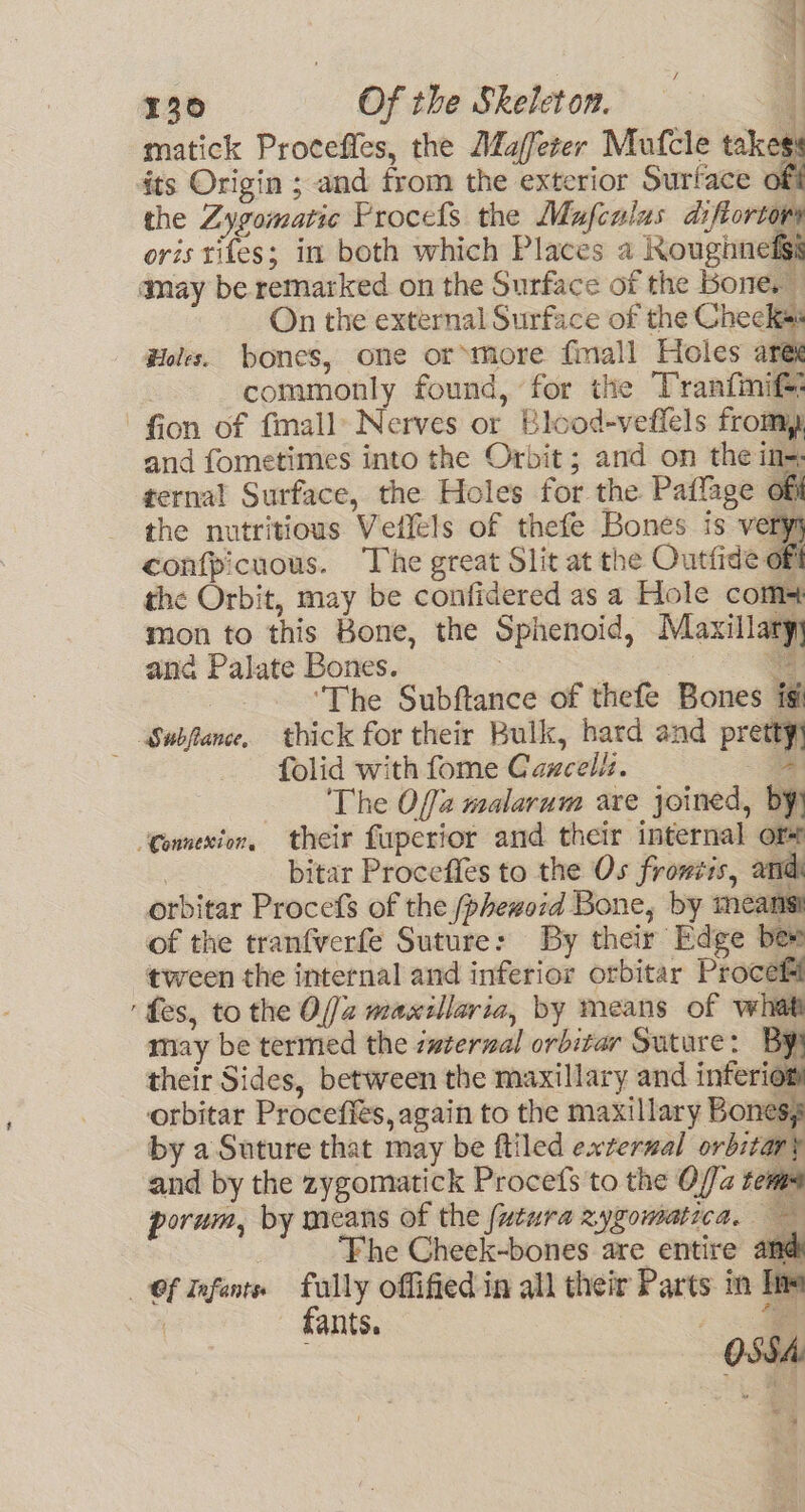 7 130 Of the Skeleton. t matick Proceffes, the Mujfeter Mufcle takes its Origin ; and from the exterior Surface of the Zygomatic Procefs the Mafculus diftortory oris tiles; in both which Places a Roughneigs amay be remarked on the Surface of the Bone, On the external Surface of the Cheeks: Holes. bones, one or more fimall Holes ares : commonly found, for the Tranfmit: -fion of fmall: Nerves or Blood-veffels fromy and fometimes into the Orbit; and on the in-. ternal Surface, the Holes for the Pailage of the nutritious Veilels of thefe Bones is very confpicuous. The great Slit at the Outfide off the Orbit, may be confidered as a Hole com mon to this Bone, the Sphenoid, Maxillaryy and Palate Bones. 3 : a : ‘The Subftance of thefe Bones ig Swbflance, thick for their Bulk, bard and pretty) folid with fome Caucell:. - a The Offa malarum are joined, by) Connexion, their fuperior and their internal or — bitar Proceffes to the Os frowiis, andi orbitar Procefs of the /phewoid Bone, by means of the tranfverfe Suture: By their Edge bee tween the internal and inferior orbitar Proceft ‘tes, to the Off2 maxillaria, by means of what may be termed the uterval orbitar Suture: BY) their Sides, between the maxillary and inferiow orbitar Procefiés, again to the maxillary Boness by a Suture that may be ftiled external orbitars and by the zygomatick Procefs to the Offa tems porum, by means of the futura zygomatica, — : ‘Fhe Cheek-bones are entire and Of Infants fully offified in all their Parts in Ine fants. OSSA: aE ¢ a |