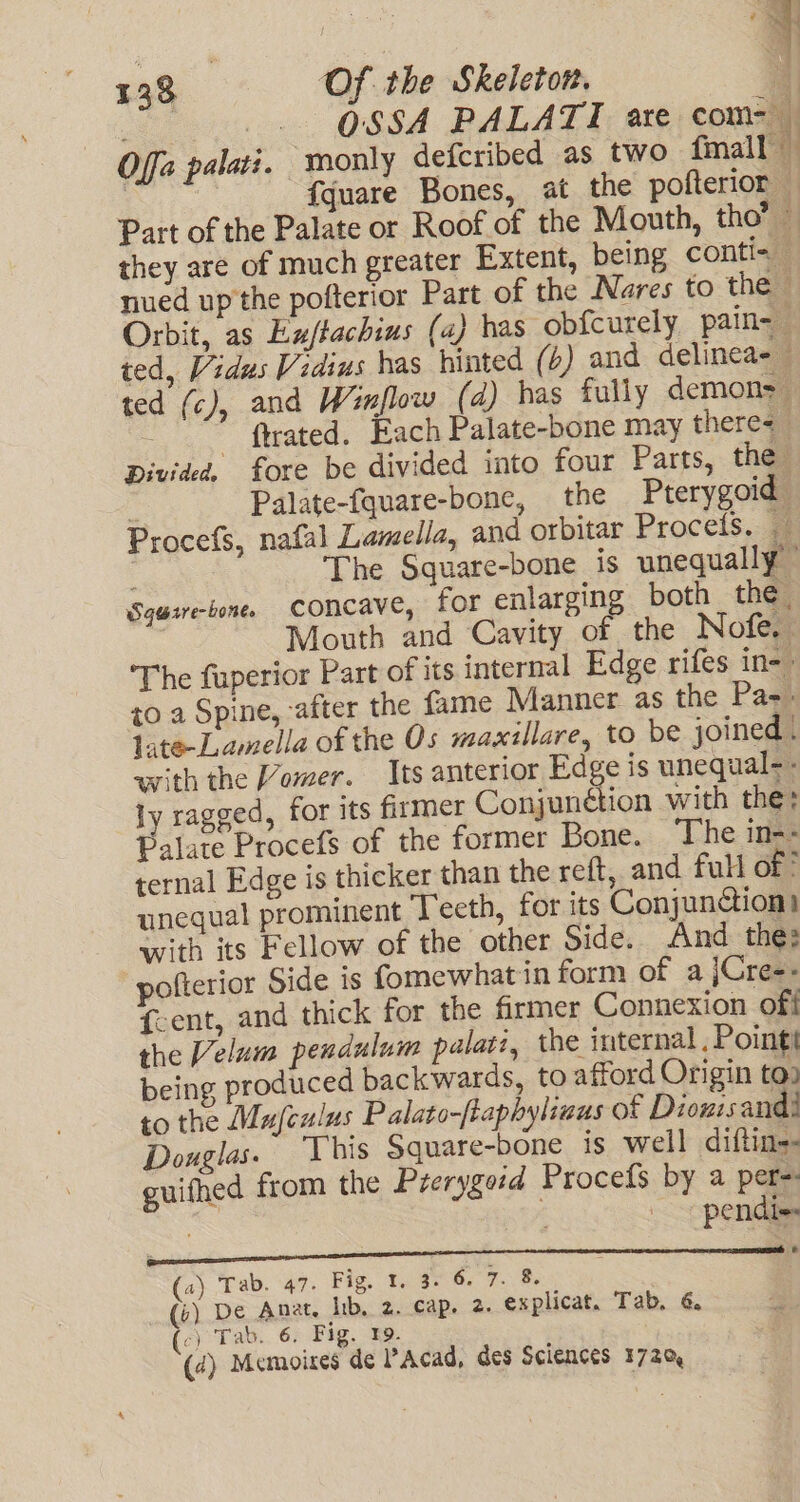 4 x : they are of much greater Extent, being conti- nued up'the pofterior Part of the Nares to the © Orbit, as Ex/tachius (a) has ob{curely pain ted, Vidus Vidius has hinted (6) and delinea- ted (c), and Winflow (d) has fully demon&gt; -.. fteated, Each Palate-bone may there&lt; Divided, fore be divided into four Parts, the i Palate-fquare-bone, the Pterygoid Procefs, nafal Lamella, and orbitar Procels. The Square-bone is unequally Squsrebone. concave, for enlarging both the. Mouth and Cavity of the Nofe, The fuperior Part of its internal Edge rifes in-- 40 a Spine, after the fame Manner as the Pas. late-Lamella of the Os mawxillare, to be joined . with the Vomer. Its anterior Edge is unequal. - ly ragged, for its firmer Conjunétion with the: Palate Procefs of the former Bone. ‘The in-- ternal Edge is thicker than the ret, and full of © unequal prominent Teeth, for its Conjunction) with its Fellow of the other Side. And the: pofterior Side is fomewhat in form of a jCre-- {-ent, and thick for the firmer Connexion off the Velum pendulum palatz, the internal , Pointt being produced backwards, to afford Origin too to the Majculus Palato-ftaphyliwus of Diowisand! Douglas. This Square-bone is well diftin-- guifhed from the Prerygeid Procefs by a per: : ne pends (4) Tab. 47. Fig tg 8. 7.8 (i) De Anat. lib, 2. cap. 2. explicat. Tab, 6. c) Tab.. 6; Fig. 39. (2) Memoixes de PAcad, des Sciences 1720