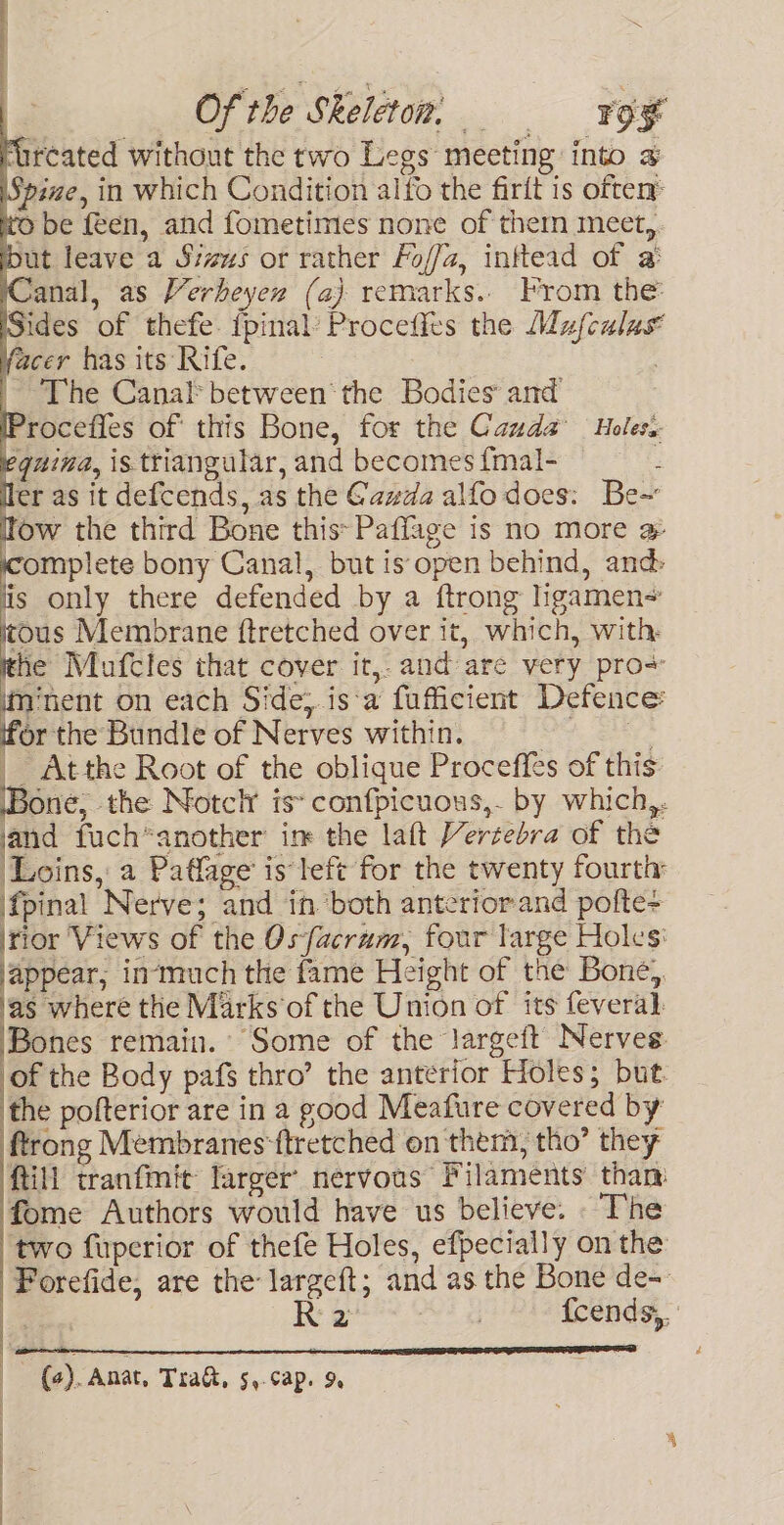 Furcated without the two Legs meeting into a Spine, in which Condition alfo the firit is oftey ito be feen, and fometimes none of therm meet, but leave a Sizus or rather Fof/z, inftead of a (Canal, as Verheyex (aj) remarks.. From the Sides of thefe. {pinal’ Procefits the Mufculas facer has its Rife. | The Canal between the Bodies and rocefles of this Bone, for the Cauda Holes. eguina, is triangular, and becomes {mal- : ler as it defcends, as the Gawda alfodoes: Be~ ow the third Bone this Pafflage is no more a complete bony Canal, but is open behind, and: lis only there defended by a ftrong higamen+ tous Membrane ftretched over it, which, with: he Mufcles that cover it,.and are very pro- iminent on each Side; is a fufficient Defence for the Bundle of Nerves within. Ce Le, _ Atthe Root of the oblique Proceffes of this (Bone, the Notcly is confpicuous,- by which,. and fuch*another’ im the laft Vertebra of the Loins, a Paflage is left for the twenty fourti: fpinal Nerve; and in ‘both anterior-and pofte+ inior Views of the Osfacram, four large Holes: ‘appear, in‘much the fame Height of the Bone), as where the Marks of the Union of its feveral Bones remain. “Some of the largeft Nerves: be the Body pafs thro’ the anterior Holes; but. the pofterior are in a good Meafure covered by ftrong Membranes ftretched on them, tho’ they ftill tranfmit larger’ nervous Filaments than fome Authors would have us believe. . The two fuperior of thefe Holes, efpecially on the Porefide, are the largeft; and as the Bone de- (). Anat, Tra&amp;, 5,.cap. 9,