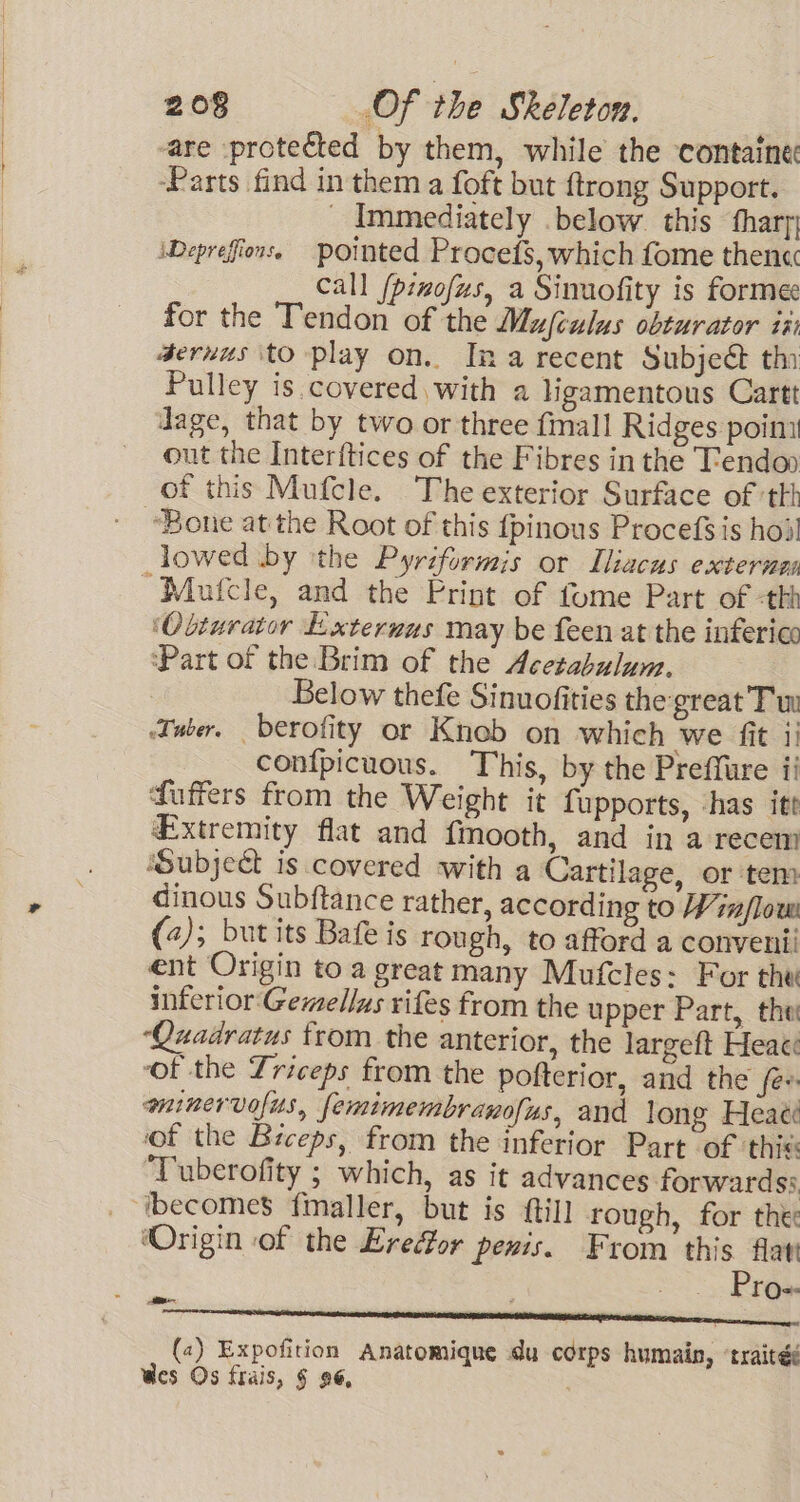 -are protected by them, while the containe: ‘Parts find in them a foft but ftrong Support. _ Immediately .below. this thary \Deprefiows. pointed Procets, which fome then« call (pznofus, a Simaofity is formee for the Tendon of the Mufeulus obturator ii) deruus to play on. Ina recent Subje&amp; thi Pulley is covered with a ligamentous Cartt Jage, that by two or three fall Ridges poim out the Interftices of the Fibres in the Tendo of this Mufcle. The exterior Surface of th Bone at the Root of this fpinous Procefs is hod! lowed by ithe Pyriformis or Iliacus exteruen ~Mufcle, and the Print of fome Part of -thh ‘Obturator Exterwus may be feen at the inferico ‘Part of the Brim of the Acetabulum. , | Below thefe Sinuofities the great Tu Tuber, berofity or Knob on which we fit 11 confpicuous. This, by the Preffure ii fuffers from the Weight it fupports, has itt Extremity flat and fmooth, and in a recem ‘Subject is covered with a Cartilage, or tem dinous Subftance rather, according to Win/low (2); butits Bafeis rough, to afford a convenii ent Origin to a great many Mufcles: For the inferior Gemellus vifes from the upper Part, thet ‘Quadratus from the anterior, the largeft Heac of the Triceps from the pofterior, and the fer eninervofus, femimembranofus, and long Heaee of the Biceps, from the inferior Part of this ‘Tuberofity ; which, as it advances forwardss ‘ibecomes fimaller, but is ftill rough, for the ‘Origin of the Erecor penis. From this flat ee . Pro-- (2) Expofition Anatomique du corps humain, ‘traités Wes Os frais, § 96,