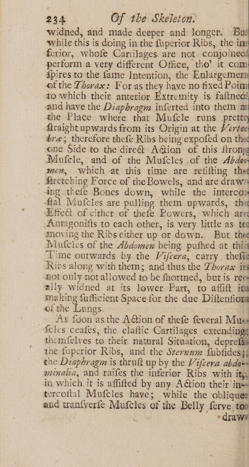 widned, and made deeper and longer. Buy while this is doing in the fuperior Ribs, the im ferior, whofe Cartilages. are not conjoine¢ perform a very different Office, tho’ it com ipires tothe fame Intention, the Enlargemen of the Thorax: For as they have no fixed Poim to which their anterior Extremity is. faftnedd and have the Diaphragm inferted into them a the Place where that Mufcle runs prettt ftraight upwards from its Origin at the Vertee re; therefore thefe Ribs being expofed on tha one Side to the dire AGtion of this ftron Mufele, and of the Mufcles of the Abdes men, which at this time are refifting the . Hretching Force of theBowels, and are drawi Pave Bones down, while the interca) ftal Mufcles are pulling them upwards, thi ‘Effect of cither of thefe Rowers, which are Antagonifts to each other, is very little as ted Moving the Ribs either up or down. But thee Mautcles of the Abdomen being puthed at thi ‘Time outwards by the Vifcera, carry. thef¢ ‘Ribs along with them; and thus the Thorax ifs HOt only not allowed to be fhortned, but is rea ally. widned at its lower Part, to affift im making fufficient Spacefor the due Diftenfioms of the Lungs. iq As {oon asthe A@ion of thefe feveral Mus fcles ceafes, the elaftic Cartilages ektcndidil themfelves to their natural Situation, deprefgs the fuperior Ribs, and the Sterzum fubfidess; the Diaphragm is thrult up by the Vifeera abdos wunalia, and raifes the inferier Ribs with ity, in which it is affifted by any A€tion their in== tercoital Mufcles have; while the obliquee and trantverfe Mufcles of the Belly ferve. too ‘ * drawy