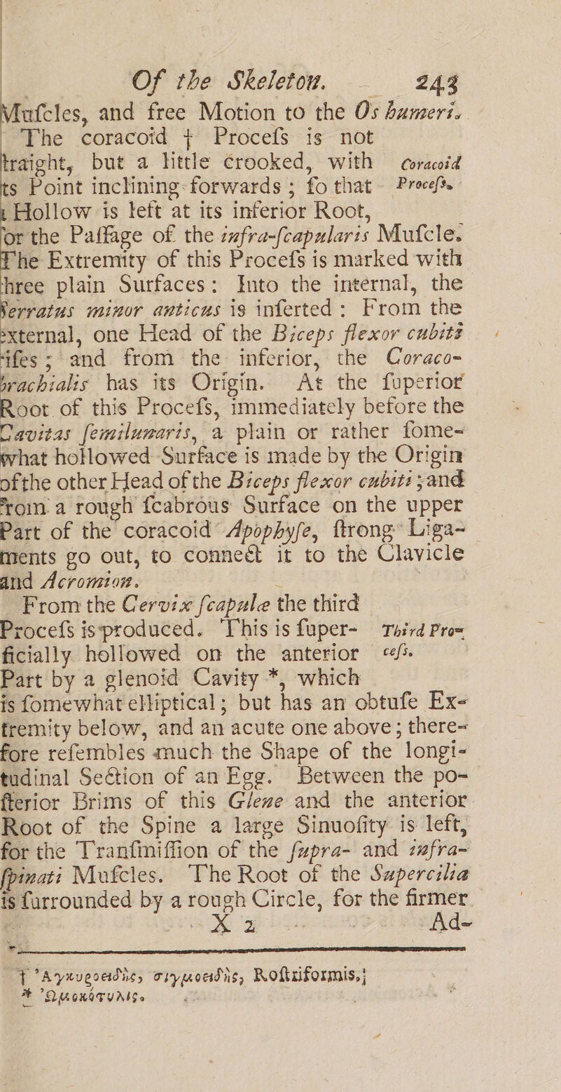 Mutcles, and free Motion to the Os hameri. - The coracoid + Procefs is not raight, but a httle crooked, with coracoid s Point inclining: forwards ; fo that~ Proceft. Hollow is teft at its inferior Root, or the Paffage of the zwfra-(capularis Mufcle. he Extremity of this Procefs is marked with ‘hree plain Surfaces: Into the internal, the Serratus minor anticus is inferted; From the *xternal, one Head of the Biceps flexor cubits ifes; and from the inferior, the Coraco- brachialis bas its Origin. At the fuperior Root of this Procefs, immediately before the Cavitas femilumaris, a plain or rather fome- what hollowed Surface is made by the Origin ofthe other Head of the Biceps flexor cubits sand from a rough {cabrous Surface on the upper Part of the coracoid Apophyfe, ftrong Liga~ ments go out, to conneét it to the Clavicle and Acromton. : From the Cervix (capale the third Procefs issproduced. ‘This is fuper- Toird Pro= ficially hollowed on the anterior «4/* Part by a glenoid Cavity *, which is fomewhat eHiptical; but has an obtufe Ex- fremity below, and an acute one above; there~ fore refembles much the Shape of the longi- tudinal Section of an Egg. Between the po- fterior Brims of this G/eze and the anterior. Root of the Spine a large Sinuofity is left, for the Tranfiniffion of the fupra- and zafra-~ fpinati Mufcles. The Root of the Saperciia is furrounded by a rough Circle, for the firmer ~ ; ; } Ayuuesedic, oryppoadias, Roftriformis,; ACO UGKOTUANS it . 24