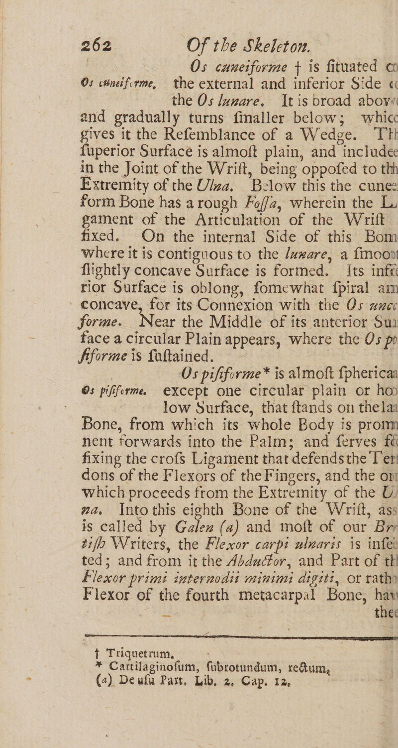 Os cuneiforme + is fituated co Os ctneiferme, the external and inferior Side « the Os Juzare. It is broad above and gradually turns fmaller below; whicc gives it the Refemblance of a Wedge. TT! fuperior Surface is almoft plain, and include in the Joint of the Wrift, being oppofed to th Extremity of the Viza. Below this the cune: form Bone has arough Fof/z, wherein the Lu gament of the Articulation of the Writt fixed. On the internal Side of this Bom where it is contiguous to the /azare, a {moot flightly concave Surface is formed. Its intk rior Surface is oblong, fomewhat fpiral am - concave, for its Connexion with the Os zzcc forme. Near the Middle of its anterior Sui face a circular Plain appears, where the Os po Aforme is foltained. 3 Os pififorme* is almoft {phericaa Os pififorme except one circular plain or ho low Surface, that ftands on thelaa Bone, from which its whole Body is prom nent forwards into the Palm; and ferves fé fixing the crofs Ligament that defends the Ter’ dons of the Flexors of the Fingers, and the on which proceeds from the Extremity of the ma. Intothis eighth Bone of the Wrift, ass is called by Galez (a) and mott of our Br ti/o Writers, the Flexor carpt wluaris is infer ted; and from it the Aidudfor, and Part of th Plexor primi internodii minimi digiti, or rath Flexor of the fourth metacarpal Bone, haw = the: { Triquetrum, * Cartilaginofum, fubrotundum, re@um, (2) Deuflu Part, Lib, 2, Cap. 12.