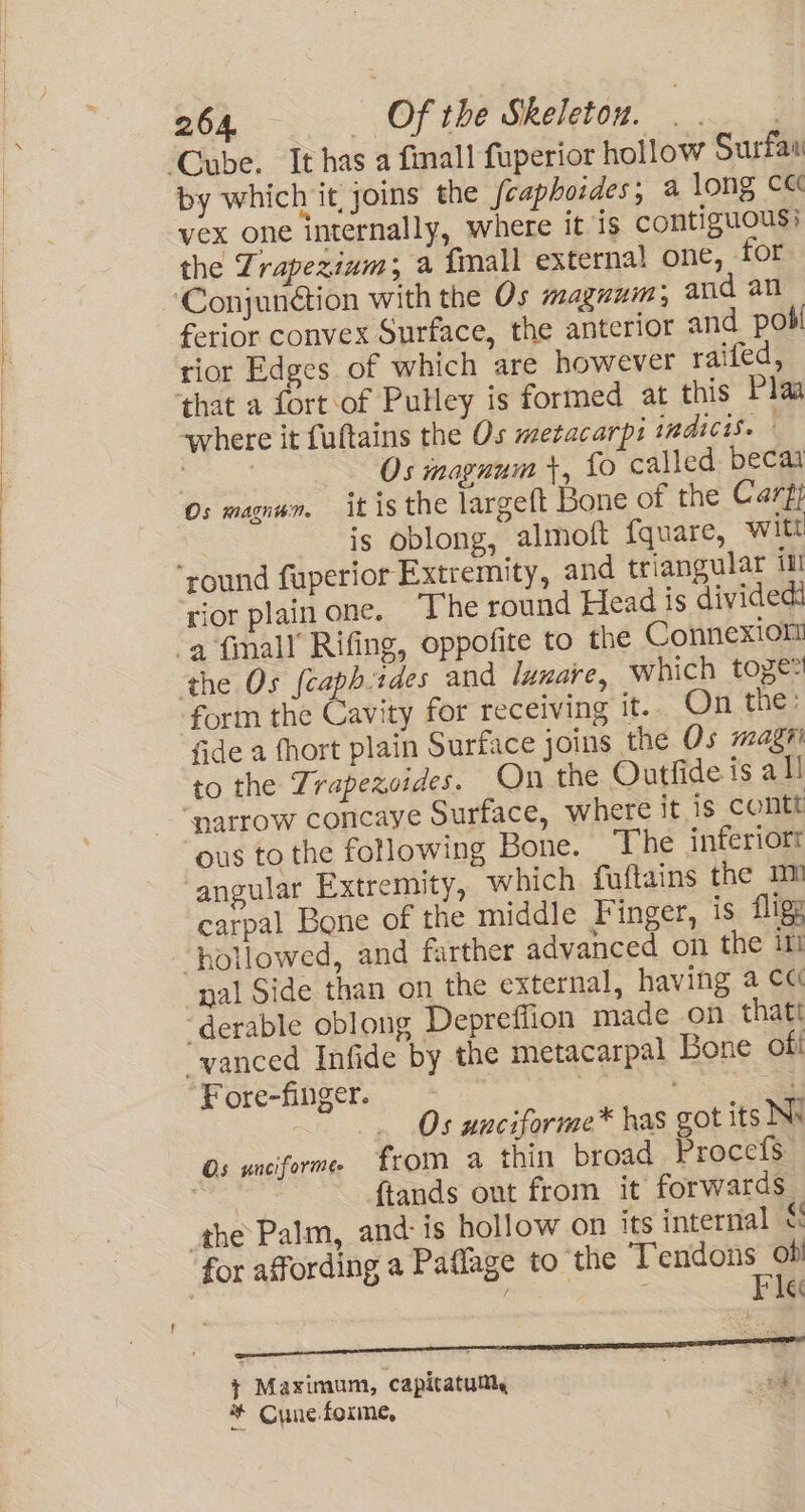 by which it, joins the fcaphoides, a long ce vex one internally, where it is contiguous} the Zrapezinm; a {mall external one, for. ferior convex Surface, the anterior and pobi rior Edges of which are however raifed, where it fuftains the Os metacarpi indicts. : : Os inagnum +, fo called becai Os magnum. it is the largeft Bone of the Cart} is oblong, almoft {quare, witt rior plainone. ‘The round Head is divided fort the Cavity for receiving it.. On the: {de a fhort plain Surface joins the Os magn to the Trapezoides. On the Outfide is all “narrow concaye Surface, where it is contt ous to the following Bone. The inferiort angular Extremity, which fuftains the mm carpal Bone of the middle Finger, is flige ‘hollowed, and farther advanced on the irl ‘yal Side than on the external, having a cc ‘derable oblong Depreffion made on thatt “vanced Infide by the metacarpal Bone oft F ore-finger. eek. . Os unciforme™* has got its Ne Os unciferme from a thin broad Procefs | 7 {tands out from it forwards the Palm, and: is hollow on its internal &amp; for affording a Paflage to the T’endons ob! Fle 9 Na ve noaiel + Maximum, capitatum, 4a * Cunefoxme,