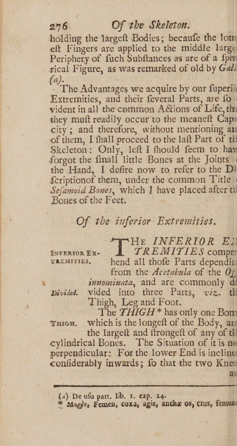 holding the largeft Bodies; becaufe the lom eft Fingers are applied to the middle largs: Periphery of fuch Subftances as are of a {pm ical Figure, as was remarked of old by Gall (a). ; The Advantages we acquire by our fuperia Extremities, and their feveral Parts, are fo vident in all the common Actions of Life, th they muft readily occur to the meaneft Capo city ; and therefore, without mentioning au of them, I fhall proceed to the laft Part of thi Skeleton: Only, left I fhould: feem to hay forgot the fmall little Bones at the Joints \ the Hand, I defire now to refer to the D) {criptionof them, under the common Title: Sefamoid Bones, which I have placed after tk Bones of the Feet. Of the inferior Extremities. Stes INFERIOR Ei INFERIOR Ex- TREMITIES comprt wmemitiEs. — hend all thofe Parts dependiti from the Acetabula of the Of; tnnominata, and are commonly dd Divided, vided into three Parts, viz. tl Thigh, Leg and Foot. The THIGH * has only one Bom Yurcu, whichis the longef{t of the Body, ‘ars the largeft and {trongeft of any of tli cylindrical Bones. ‘The Situation of it is ne perpendicular: For the lower End is incline confiderably inwards; fo that the two Knee | a | Grae EE EGE ET (2) De ufu part. lib, r. cap. 24. * Mugdyy Femen, coxa, agis, anche os, Crus, femuti