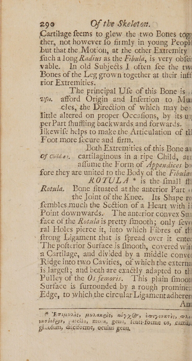 Cartilage feems to glew tke two Bones togp ther, not however fo firmly in young Peopb! but that the Motion, at the other Extremity fucha long Radias as the Fibula, is very obfe vable. In old Subjects I often fee the tw Bones of the Leg grown together at their inff rior Extremities... + The principal Ufe of this Bone is .: vgs. afford Origin and Infertion to Mm cles, the Direction of which may be: little altered on proper Occafions, by its uy per Part fhuffling backwards and forwards. | likewife helps to make the Articulation of th Foot morefecureand firm... saa Both Extremities of this Bone aa Of childer, Cartilaginous in a ripe Child, ari affume the Form of Appendices bo KOTULA * is the-fmall ff Rotula. Bone fituated at the anterior Part «1 the Joint of the Knee. Its Shape ro Point downwards. ‘The anterior convex Suy face of the Retulais pretty fmooth; only feve zal Holes pierce it, into which Fibres of tf ‘The pofterior Surface js fmooth, covered witi a Cartilage, and divided by a middle conve Ridge into two Cavities, of which the externa is largeft; and both are exactly adapted to th Pulley of the Os femoris. “This plain fmoop Surface is furrounded by a rough prominer Edge, to which the circular Ligamentadhereg Am MCEMiuvait, puranerss w77@, twipevatis, are vutiedepy, patella, mioia, genu, {cuti-forme OS, cartiljl giuclum, dilciforme, oculus peau,