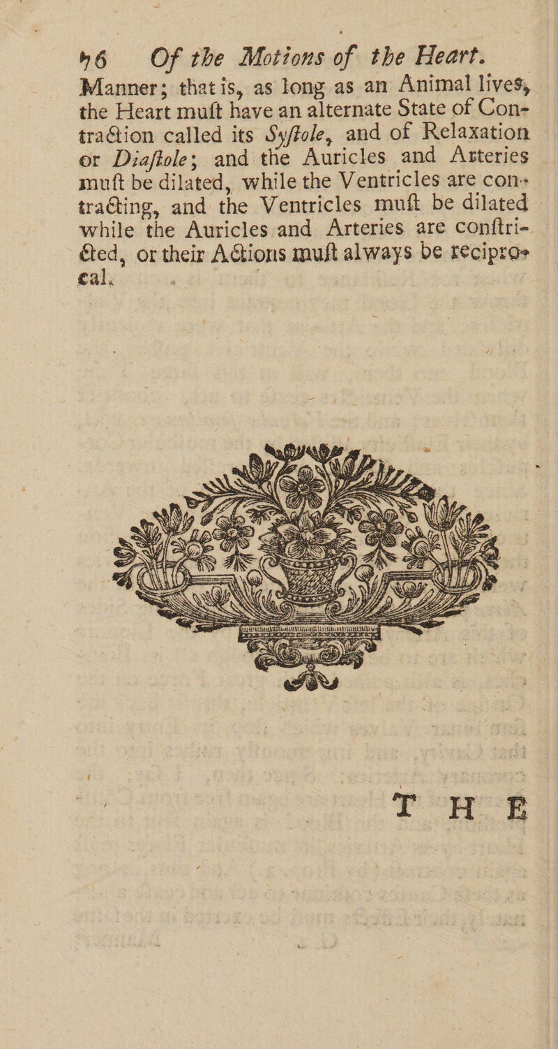 Manner; that is, as long as an Animal lives, the Heart muft have an alternate State of Con- traction called its Sy/tole, and of Relaxation or Diaffole; and the Auricles and Asteries muft be dilated, while the Ventricles are con+ trating, and the Ventricles muft be dilated while the Auricles and Arteries are conftri- oe or their AGtions muft always be recipros Cai. mien A ia.\ Wigs Ge t= NX 2 ht SEES z Ga “3 in > SS ts foams HH! I} he x ASS is SEG a 23 i YE SX )