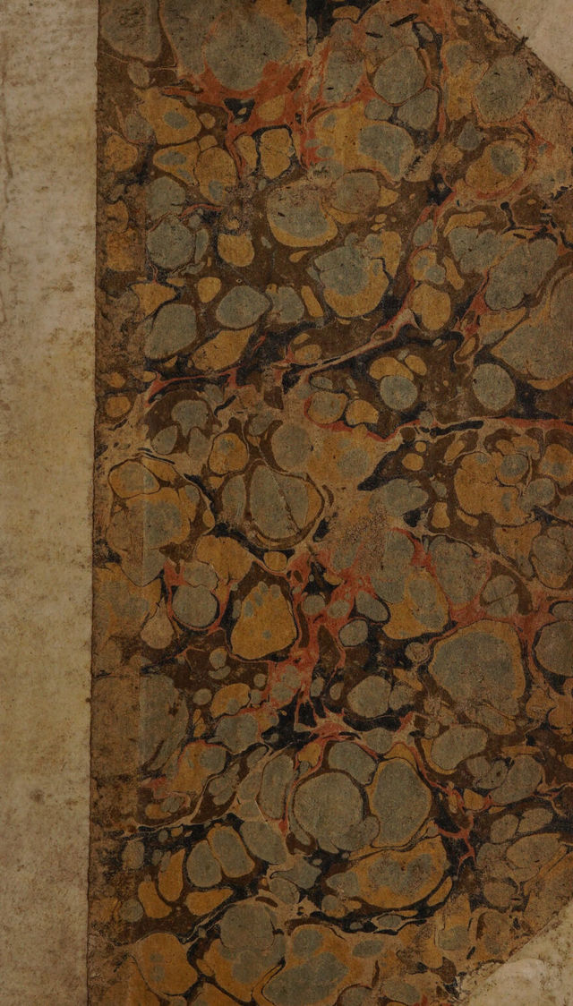 No text description is available for this image