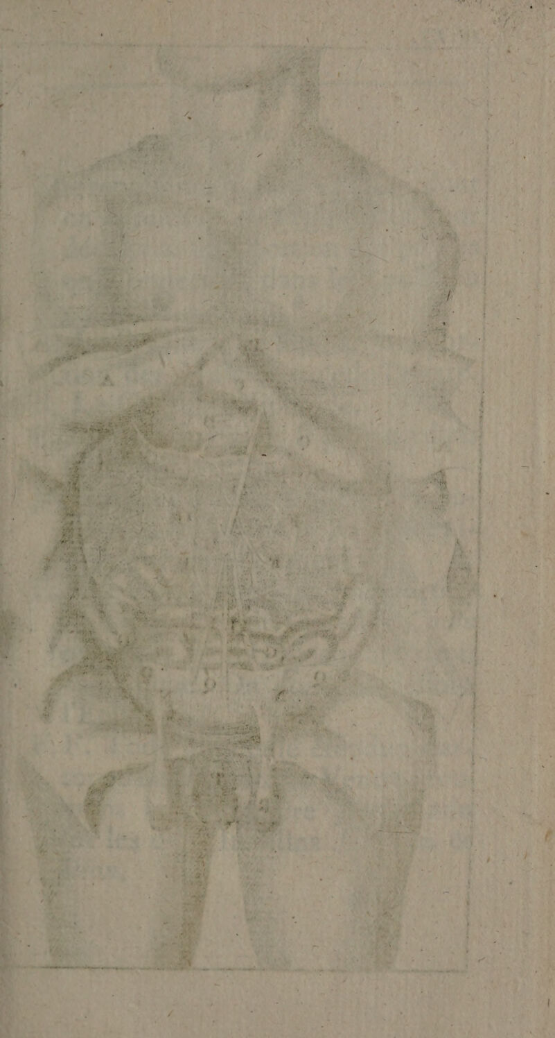 . y - * D, x DD mme ne rem pm et ms Le >