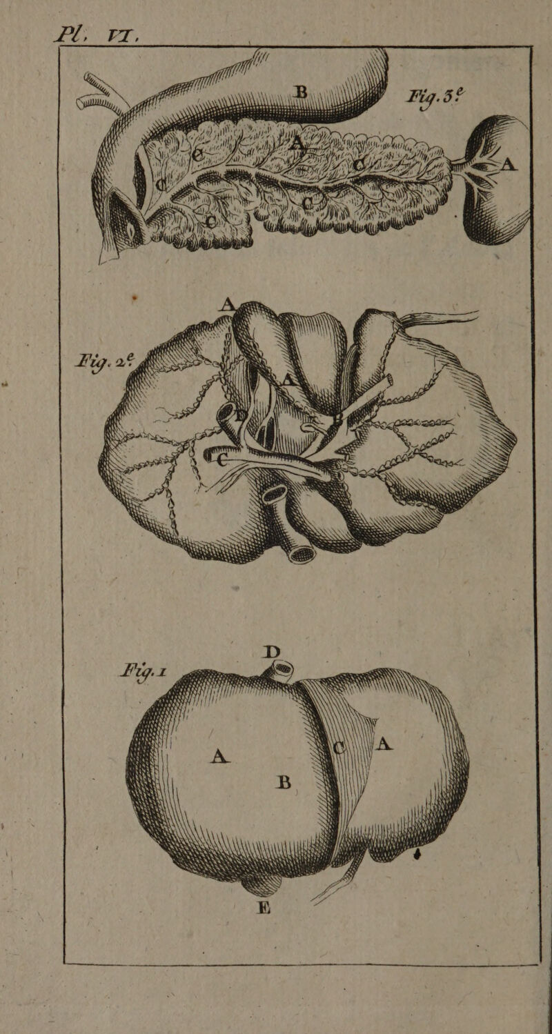 Conan FAN Way } 2 J , FPT FN I CAN dr 222 72 er æ. Dr, res, #7 Bts” L7Z