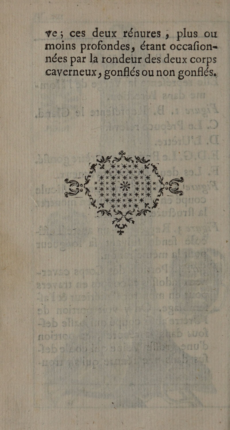 ve; ces deux rénures ; plus ou moins profondes, étant occafion= nées par la rondeur des deux corps cayerneux, gonflés ou non gonflés. x: < € x # x #Kx x x k x ut ES PAP TEE LE: Cœ FR res | LS »x x MOHKHKE K * x # x x je à Î ÉCFPTES: x k x x # x 77 È RAMEX + ‘ 3 KX%X =