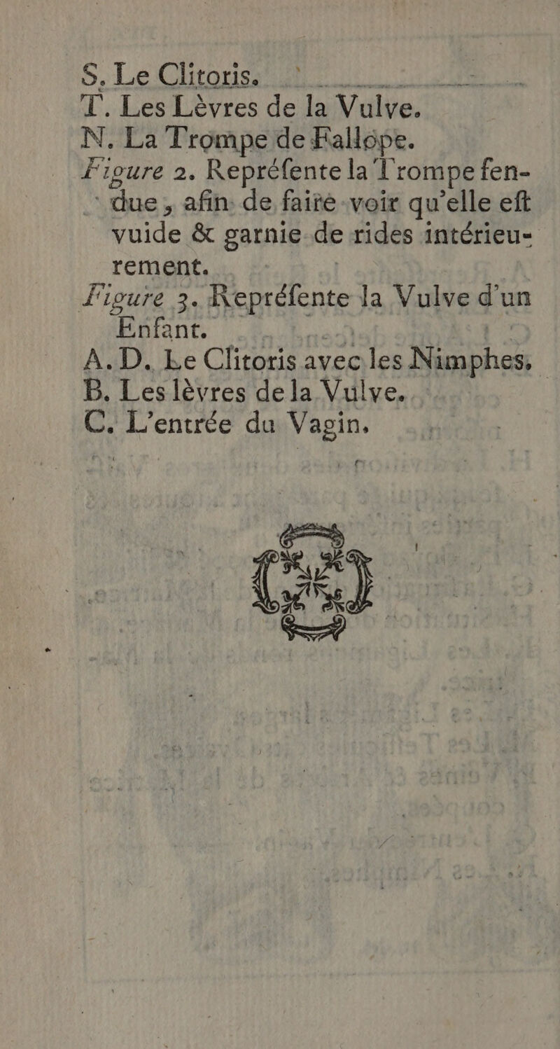 S. Le Clitoris. | ti: T. Les Lèvres de la Vulve. N, La Trompe de Fallope. Fioure 2. Repréfente la T rompe fen- ‘due, afin de faire voir qu’elle eft vuide &amp; garnie de rides intérieu- rement. J'igure 3. Repréfene Ja Vulve d'un ORNE A.D. Le Clitoris aveciles Re | B. Les lèvres dela Vulve. C. L'entrée da Vagin, GE