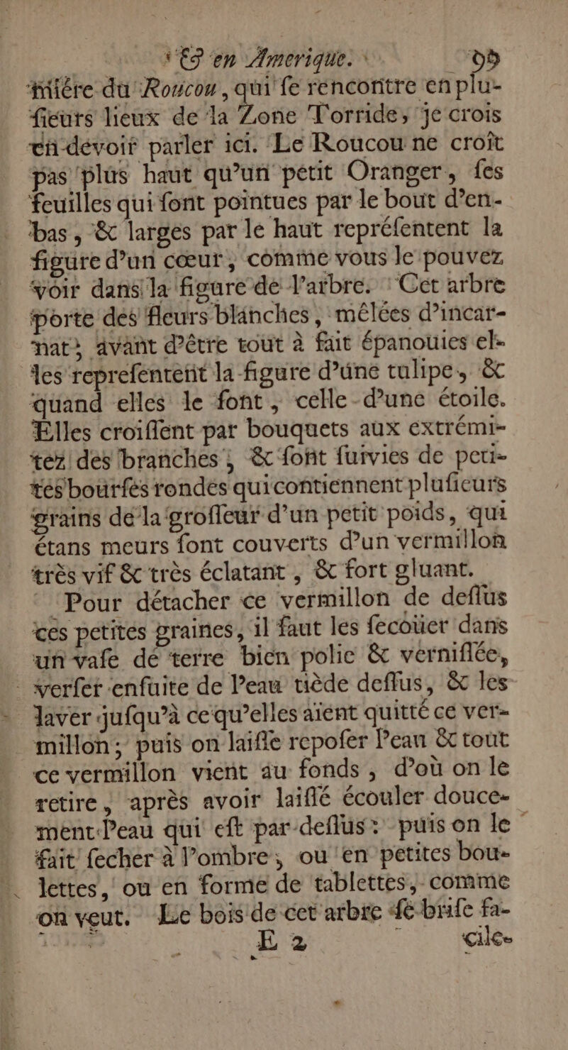 Hilére du Rowcow, qui fe rencontre en plu- fieurs lieux de ‘la Loïc Torride, je crois c-dévoit parler ici. Le Roucou ne croît pas ‘plus haut qu’un petit Oranger, fes feuilles qui font pointues par le bout d’en- bas , &amp; larges par le haut repréfentent la figure d’un cœur, comme vous le pouvez voir dans la figure de l'arbre. Cet arbre Porte des fleurs blänches, mêlées d’incar- nat avant d’être tout à fait épanouies el- des reprefenrent la figure d’une tulipe, êc quand elles le font, celle dune étoile. Elles croiflent par bouquets aux extrémi- tez. des branches ; &amp; font furvies de peti- tés bout fes rondes quicontiennent pluficurs grains dé’la groffeur d’un petit poids, qui étans meurs font couverts d’un vermillon très vif &amp; très éclatant , &amp; fort gluant. Pour détacher ce vermillon de deflus ces petites graines, il faut les fecoüer dans un vafe dé terre bien polie &amp; verniflée, _ verfet enfuite de l’eau tiède deflus, &amp; les laver jufqu’à ce qu’elles aïent quitté ce ver- millon; puis on laifle repofer Pean Et tout ce vermillon vient au fonds , d’où on le rctire, après avoir laiflé écouler douce- ment Peau qui eft par-deflus: puis on le fait fecher à l'ombre, ou en petites bou- lettes, ou en forme de tablettes, comme on veut. Le bois de cet arbre {e-brife Fa- 1 L * E 2 : çilce