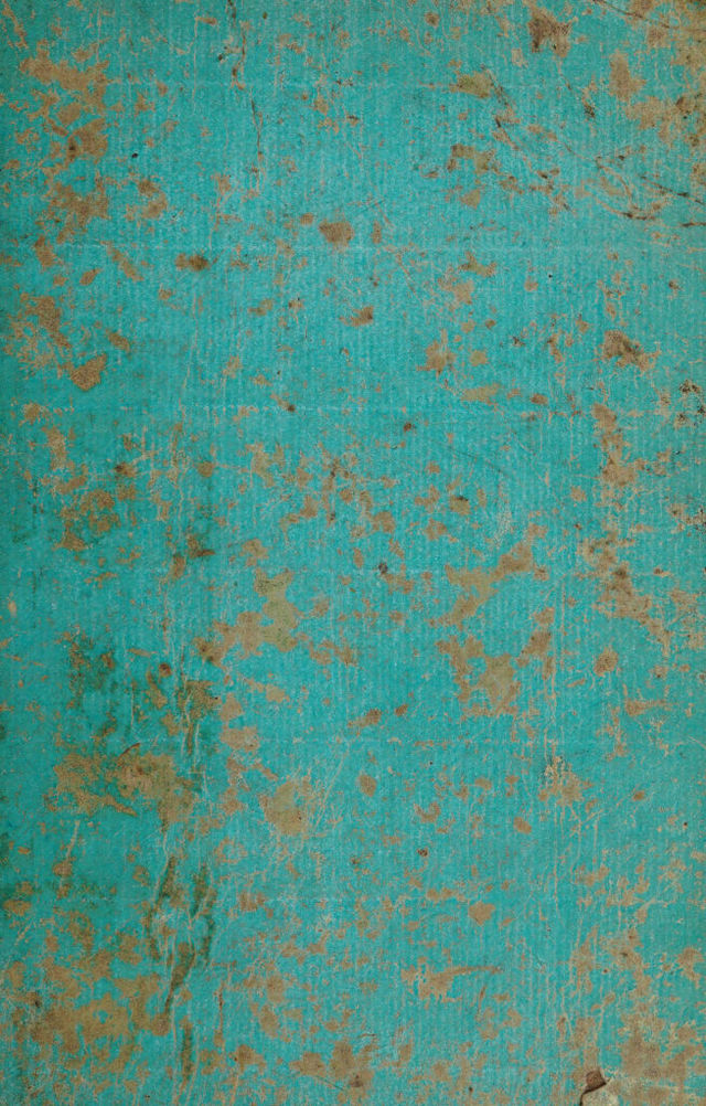 digitised image 1