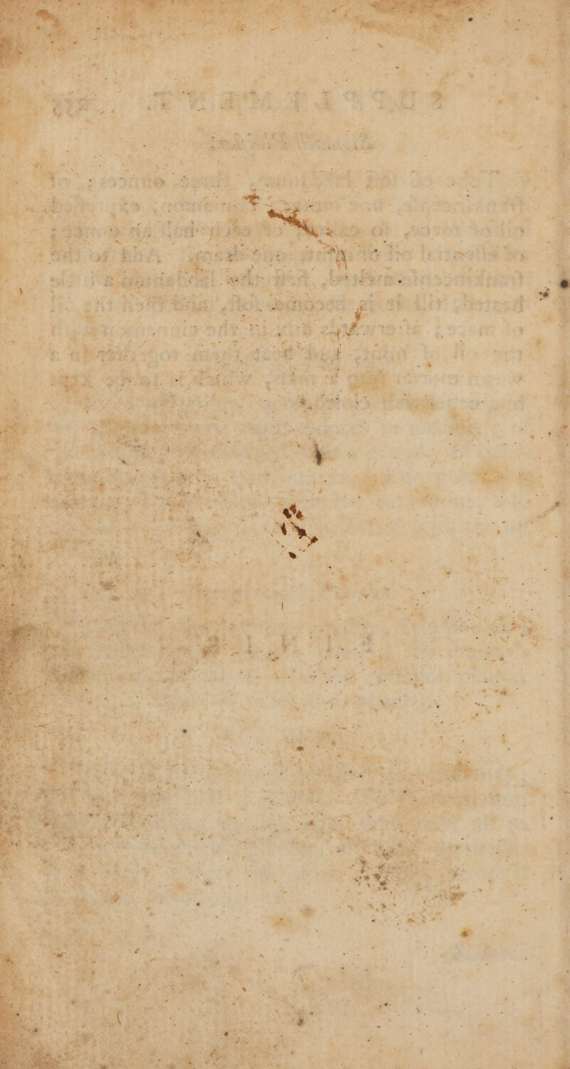 io dash ‘Agi ae foes Tent tne | af Air Seinatt™ +