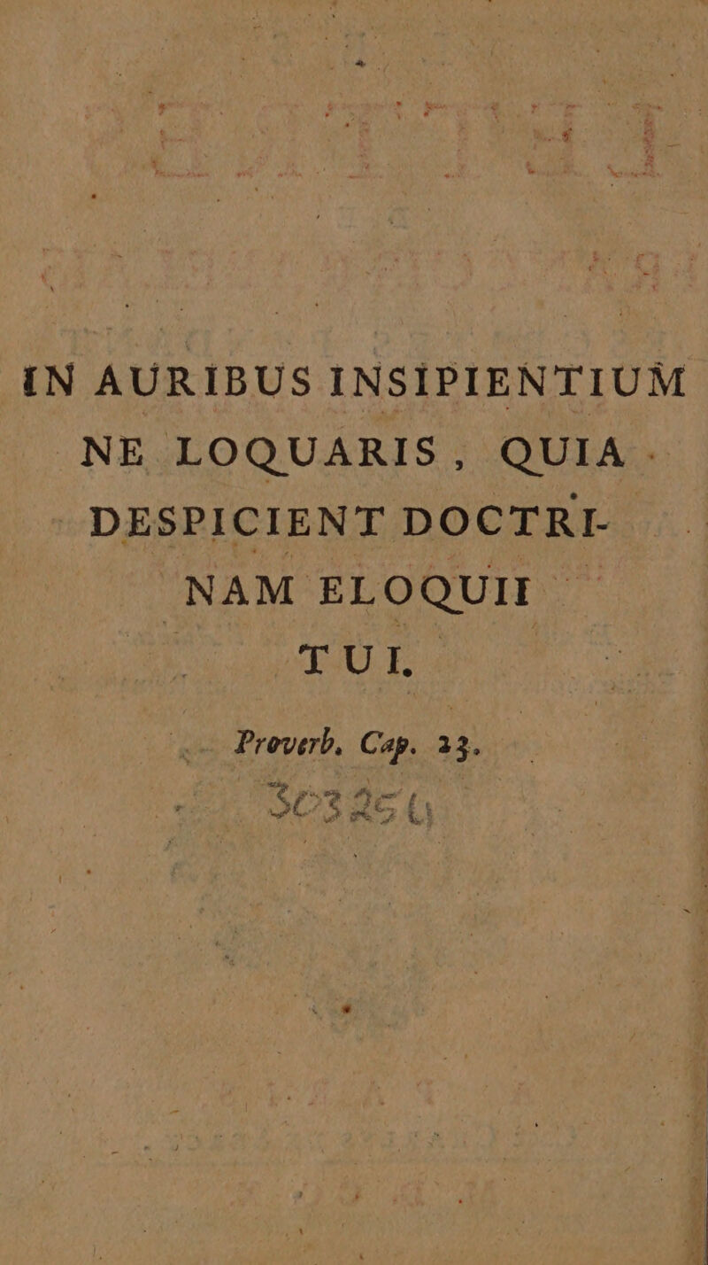 IN AURIBUS INSIPIENTIUM NE LOQUARIS, QUIA DESPICIENT DOCTRI- © NAM ELOQUIT mM'orue. Proverb, Cap. 33. pue 4 Pol x SC32E 0