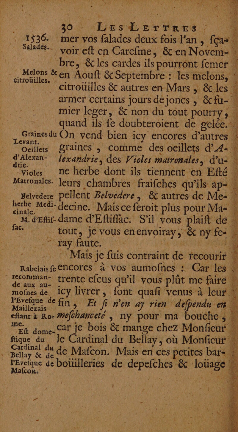 LAON NEESdET TRES 1536. mer vos falades deux fois l'an , 1ças “a voir eft en Carcfme, &amp; en Novem- . bre, &amp; les cardes ils pourront femer lors &amp;en Aouft &amp; Septembre : les melons, » citroüilles. : pr SLT à A 4 citrouilles &amp; autres en Mars | &amp; les JANET A ‘ET ML Û A - pr: armer certains jours de joncs , &amp;cfu- . mier leger, &amp; non du tout pourry, \ quand ils fe doubteroient de gelée. … _ Grinesdu On vend bien icy encores d’autres à LE MT ETE graines , comme des oeillets d’4: + d'Alexan- Jexandrie, des Violes matronales, d'u- W Viols ne herbe dont ils tiennent en Efté | Matromales. leurs chambres fraifches qu’ils 1p- - _ Belvedere pellent Belvedere, &amp; autres de Me- nee Medi- ecine. Mais ce feroit plus pour Ma M. d'Efif- dame d'Eftiflac. S'il vous plaift de tout, je vous enenvoiray;: &amp; ny fe: # js | Lt NY NTAURE, | SRE RENTE 2 Mais je füuis contraint de recourir À n Rabelais &amp;ENCOrES à vos aumofnes : _Hcomman- trente efcus qu’il vous plût me faire de aux au- 14 d fique du Je Cardinal du Bellay, où Monficur ‘à Sly &amp; qe de Mafcon. Mais en ces petites bare n VÉAReae botilleries de depefches &amp; loüage w afcon. x j A