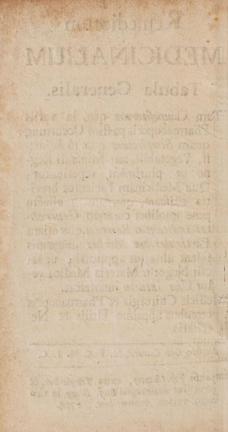  wp ir epis ier XU mifren Meere 3 ds Yn MA. pcm ve NIS rpemieriusiwen: zie or en aid Jolie. in ik M Jn6soid i | pn um ime NY p ls rad rg CORO * vmi E FERT RDRTUR bes: EI 3 *- ; MS ME M i S DER Lo EI —À e deed - *ra, A Ue ous vage khi (wed A EU : eit abe tu bilans wr NR rn Ww ERES a