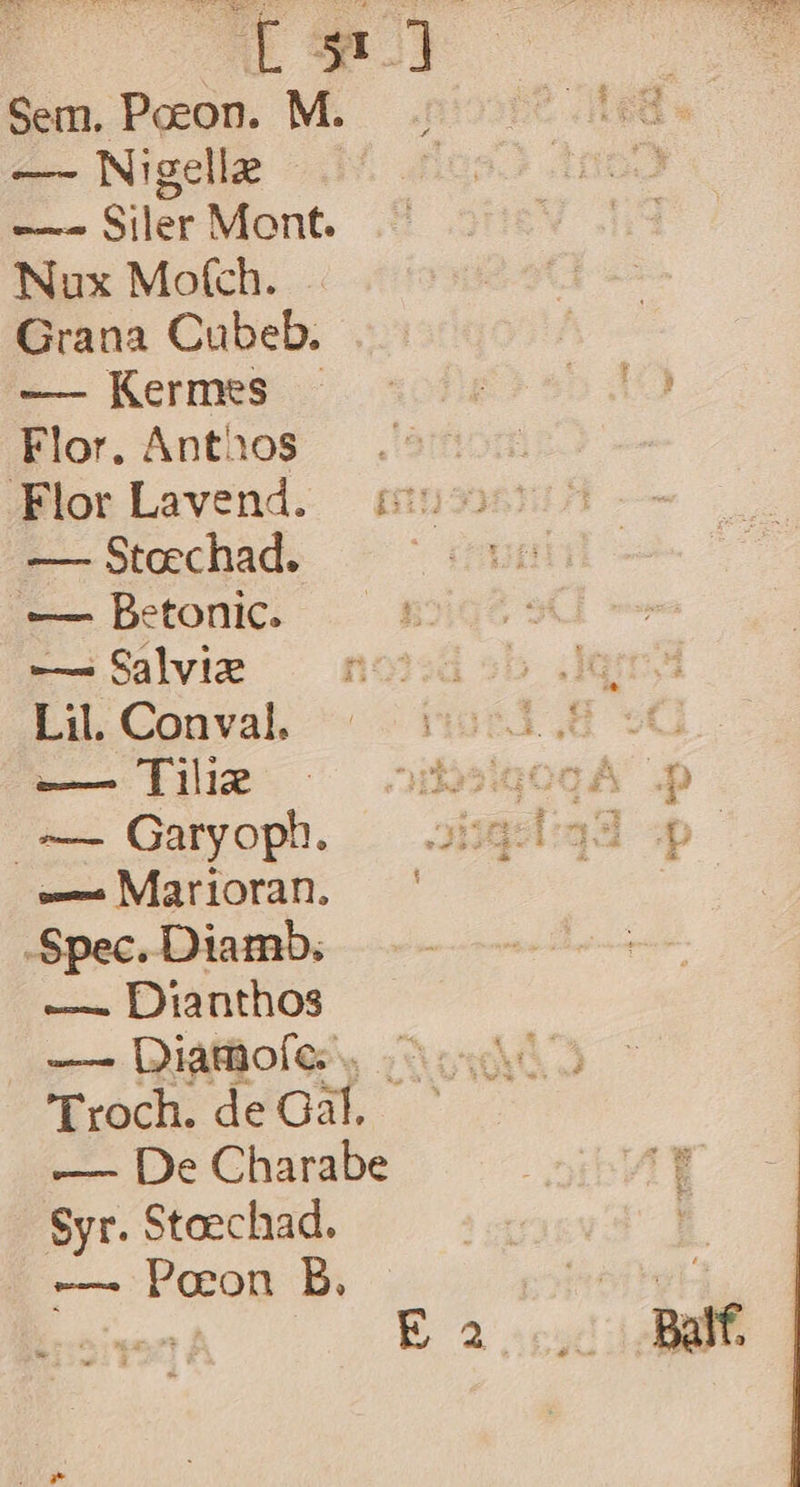 A.) —- Nigelle -——.^ Siler Mont. Nux Mo(ch. Grana Cubeb. x— Kermss . sodg? 55d) Rlor. Anthos . 505m FlorLavend. £555 — Stoechad. | — Betonic. — Salvi nod sb Li,ConvaL ^ 119531,.8 : -—— [le 9 —odeigogà | QGaryoph. - Marioran. Spec. Diamb; —. Dianthos /2— Diamofíe. 'Troch. de Gal. — De Charabe Syr. Stoechad. — PEOR B. X PY n di , d ^ nie x Bm per.) he ; io :