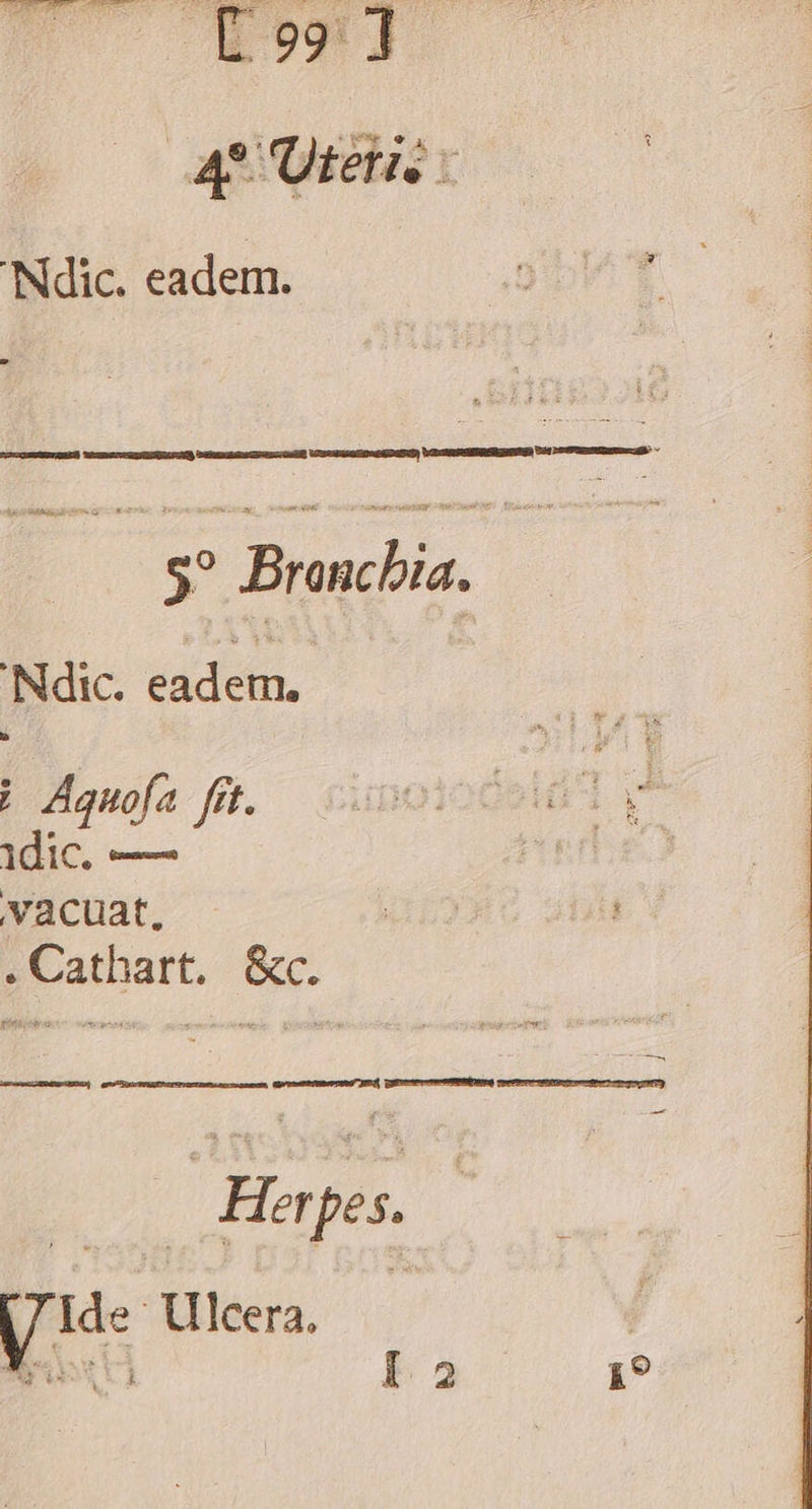 UT TAE PE I A^ Uter. 'Ndic. eadem. g^ Broncbia. ; 'Ndic. eadem. ; Aguofa fft. idic, — vacuat. Hopes I2 i?