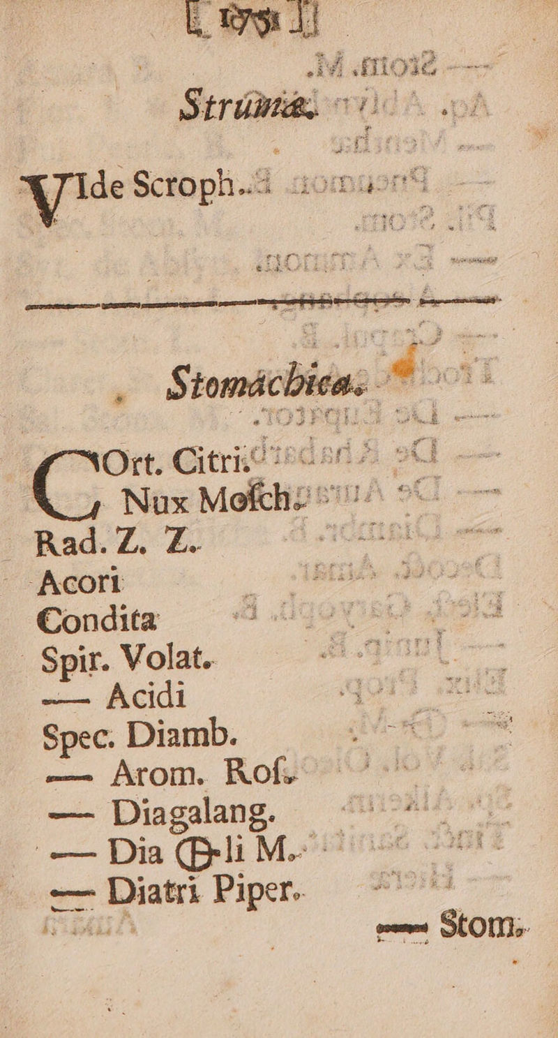 To» ga JW . /M amola -—- 4 c S EAfÀ e Nux MoKhliz 5^ 9C. Rad. Z. y jt COLD iecaio » Acort iSt. Joost Condita joxigg os . Spir. Volat. Aqu -— Acidi X Spec. Diamb. — Arom. Rofg9?^9 9e — Diagalang. ^ ^ -* —Dia(BRlM- ^C -— Diatri Piper.