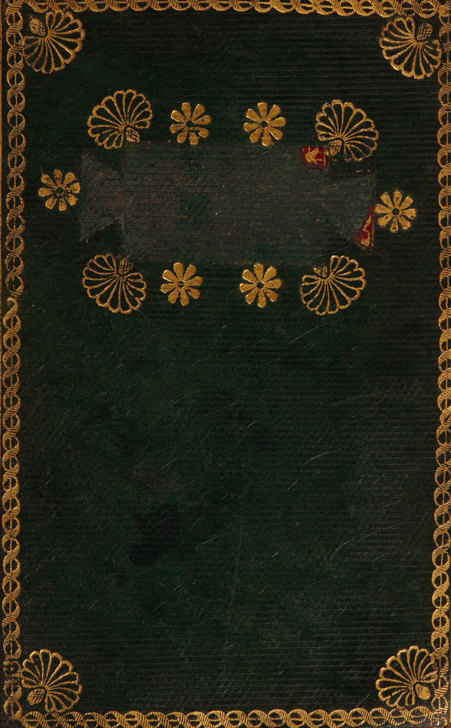 No text description is available for this image