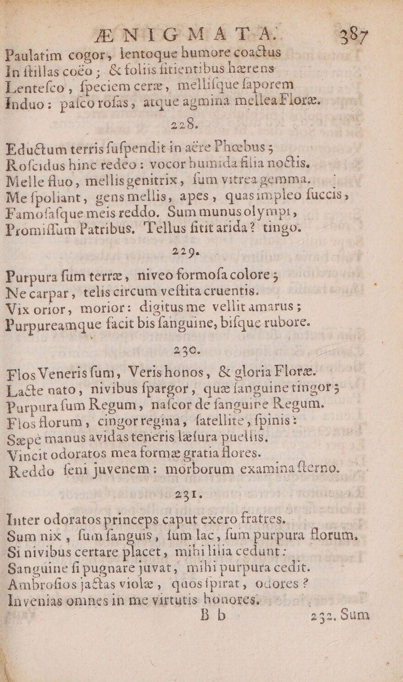 JENIGMA do. 387 Paulatim cogor, lentoque humore coactus ' In ítillas coco ; & foliis titientibus hzrens Lentefco , fpeciem cere, melliíquefaporem Induo: paíco rofas, atque agmina inellea Flore. 228. Eductum terris fufpendit in a£re Phoebus ; Rofcidus hinc redeo: vocor humida filia noctis, Melle fluo, mellisgenitrix, fum vitrea gemma. Me fpoliant, gens mellis, apes, quasimpleo Íuccis ; Famofafque meis reddo. Sum munusolyimpt, Promiífum Patribus, Tellus fititarida? tingo.- 2:2. Qu. Purpura fum terre, niveo formofa colore ; Necarpar, teliscircum veflita cruentis. Vixorior, morior: digitusme vellit amarus; Purpureamque facit bis fanguine, bifquc rubore. 250. Flos Venerisfum, Verishonos, & gloria Florez. Lace nato, nivibus fpargor, quz [anguine tingors Purpura fum Regum, naícor de fanguine Regum. Flosflorum, cingorregima, fatellite ; fpinis: Sacpé manus avidasteneris laura puelits, Vincit odoratos mea formz gratia lores. Reddo feni juvenem: morborum examina fterno. - 231. Inter odoratosprinceps caput exero fratres. Sum nix , fum fanguis, fum lac, fum purpura florum. Si nivibus certare placet, mibiliuacedunt;,— — Sanguine fipugnare juvat, mihi purpura cedit. Ambrofiosja&as viole , quosipirat, odores ? lüvenias omnes in me virtutis honores. ' | 252, oum