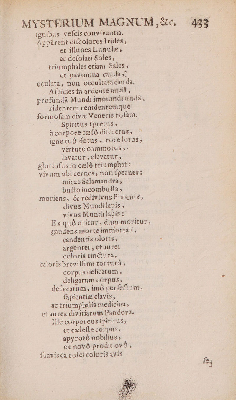 ignibus vefcis convivantia. Appárent difcolores Irides , et illanes Lunulz, ac defolati Soles, triumphales etiam Sales ; et pavonina cauda »' oculata, non occultata cau da. A fpicies in ardente undà, profundáà Mundi immundi und, ridentem renidentemque formofam divz Veneris rofam. Spiritus fpretus; àcorpore czíó difcretus, igne cuó fotus ; rorelotus; . virtute commotus; lavatur elevatur, gloriofus in celà triumphat : vivum ubi cernes ; non fpernes: micat Salamandra, buftoincombufta; moriens, &amp; redivivus Phoenix; divas Muudi lapis, vivus Mundilapis : Ex quó oritur , dum moritur, gaudens morte immortali , candentis oloris ; argentei , et aurei coloris tinctura, caloris breviffimi torturà ; corpus delicatum , deligatum corpus , defecarum , imó perfe um; fapientisz clavis, ac triumphalis medicina et aurca divitiarum Pandora, Ille corporeus fpiritus, et celefte corpus, apyrotó nobilius; ex novó prodit ovà , fuavis ea rofei coloris avis MYSTERIUM MAGNUM,&amp;c. 433 m L