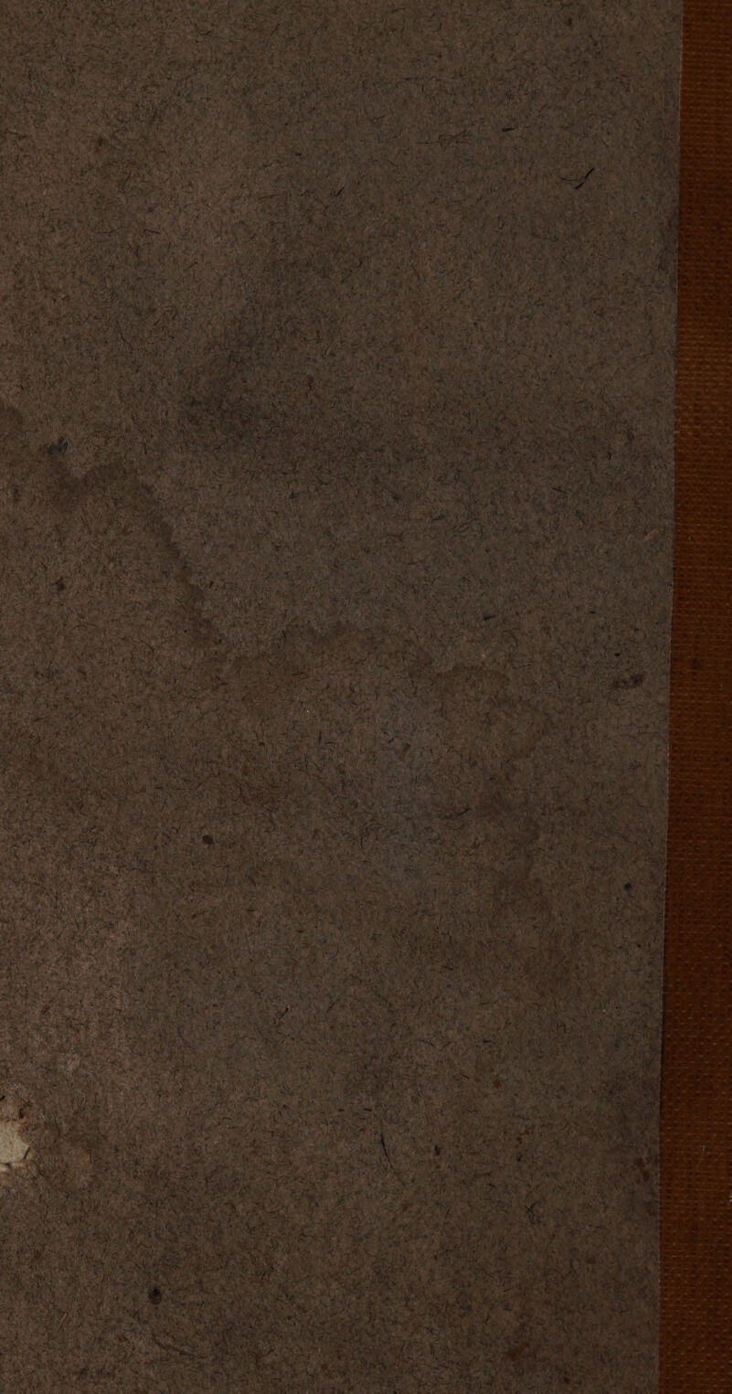 un . “ef T4 CA S.15