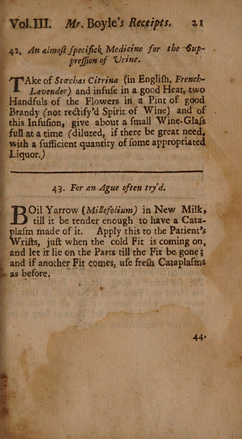 2, An almoft {pecifick Medicine for the Sup- . | preffion of Urine. 9 ‘Ake of Stachas Citrina (in Englith, French- “ - Lavender) and infufe in a good Heat, two ' Handfuls of the Flowers in a Pint of good Brandy (not rectify’d Spirit of Wine) and of . _ this Infufion, give about a fmall Wine-Glafs _ ' fullata time (dilured, if there be great need, ' with a fufficient quantity of fome approptiated _ Liquor.) ; | ie 7 43. For an Ague often tryd. 3 Oil Yarrow (Milefolium) in New Milk; § till ir be tender enough to have a Cata- | plafm made of ir. Apply this to the Patient’s _ Wrifts, juft when the cold Fit iscomingon, = - and let it lie on the Parts till the Fic be gones) _ and if another Fir comes, ufe frefh, Cataplafms ¢ * fo ae