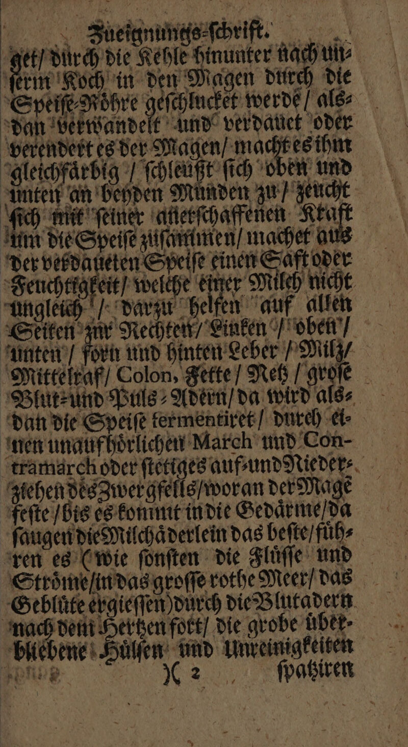 Speiſe Röhre geſchlucket werde / als⸗ dan die Speiſe kermentiret / durch ei⸗ nen unaufhoͤrlichen March und Con- trämärch over ſtetiges auf, und Nieder ziehen des Zwergfells / woran der Mage feſte / bis es kommt in die Gedaͤrme / da ſaugen die Milchaͤderlein das beſte / fuͤh⸗ bliebene n A Sülfen: und Unreinigkeiten 962 ſpatziren