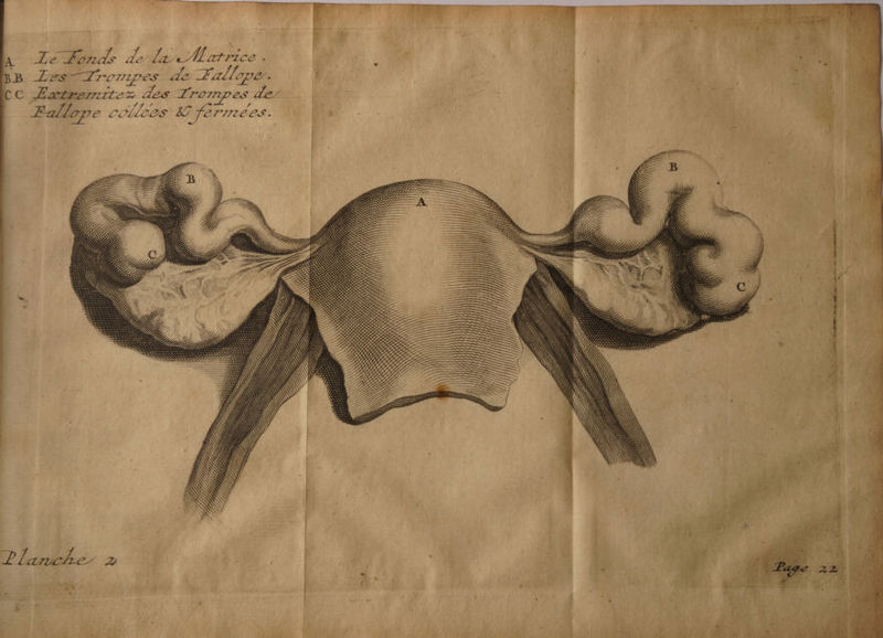 y 4 “à ohne NP % 2111 # C Æarbrerritez es T T'OInpes LE. HE # ANS UE ju a Fallope collees: 80 ferrées. BND NAN ‘00 AE ts OO AR Ô  “ ; * Los < : 0 * \ à = A { 3 \ L / / RAR < se ANS re ee } 8 “ X x in W PRÉPAS DT LS PT SL SSL PA “4 k 2 \ e PPT TL ALL LIL III TT TL LILI) » Æ Z : A 5 Rx x - = » + <&amp;: r- F CE , + A — : # x y 2 + ; ; e , ; à . 0 - $ J : par”