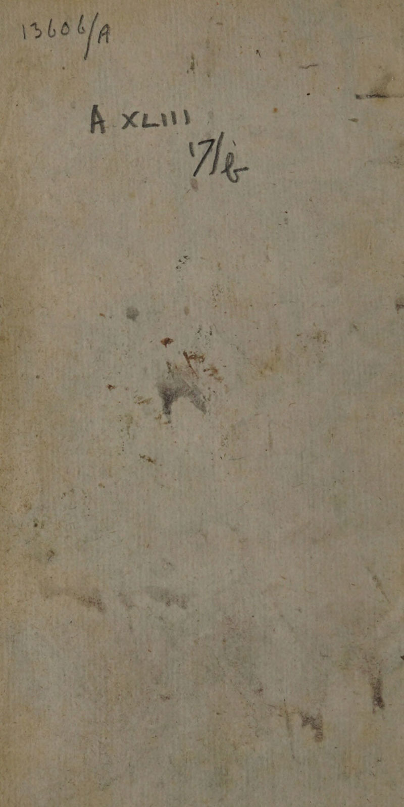 No text description is available for this image