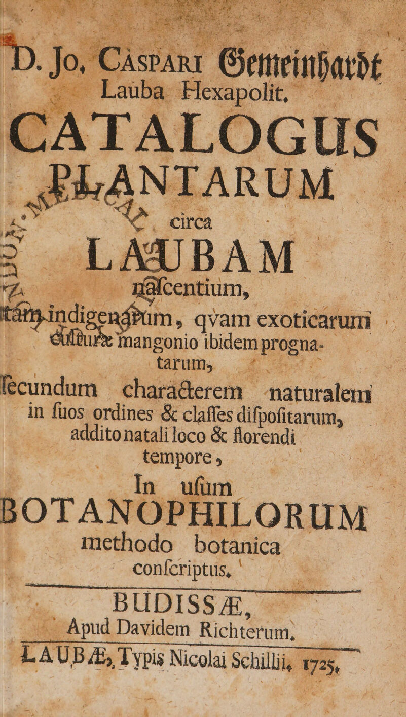 : ^ E e ER x A. vo D [^d E V3 --— DE ul ale J). lo, C ÀSPARI | e ! Xp: Ema RS m í L3 E Laub: i ird E ; AE citatum 2s j | eos qvam exoticarumi 5 | inangonio y bidem ene | farum... J£ cundum. Charà&amp;erem | 4iaturalen in füos ordines &amp; claffes difpofitarum, : . &amp;dditonatali loco &amp; florendi. x hd , B lJOTANOPHILORIUM » methodo botanica conícriptus, ' BUDISS E, . Apud Davidem Miche. LAUP E, T pis Nicolai Schi, D S