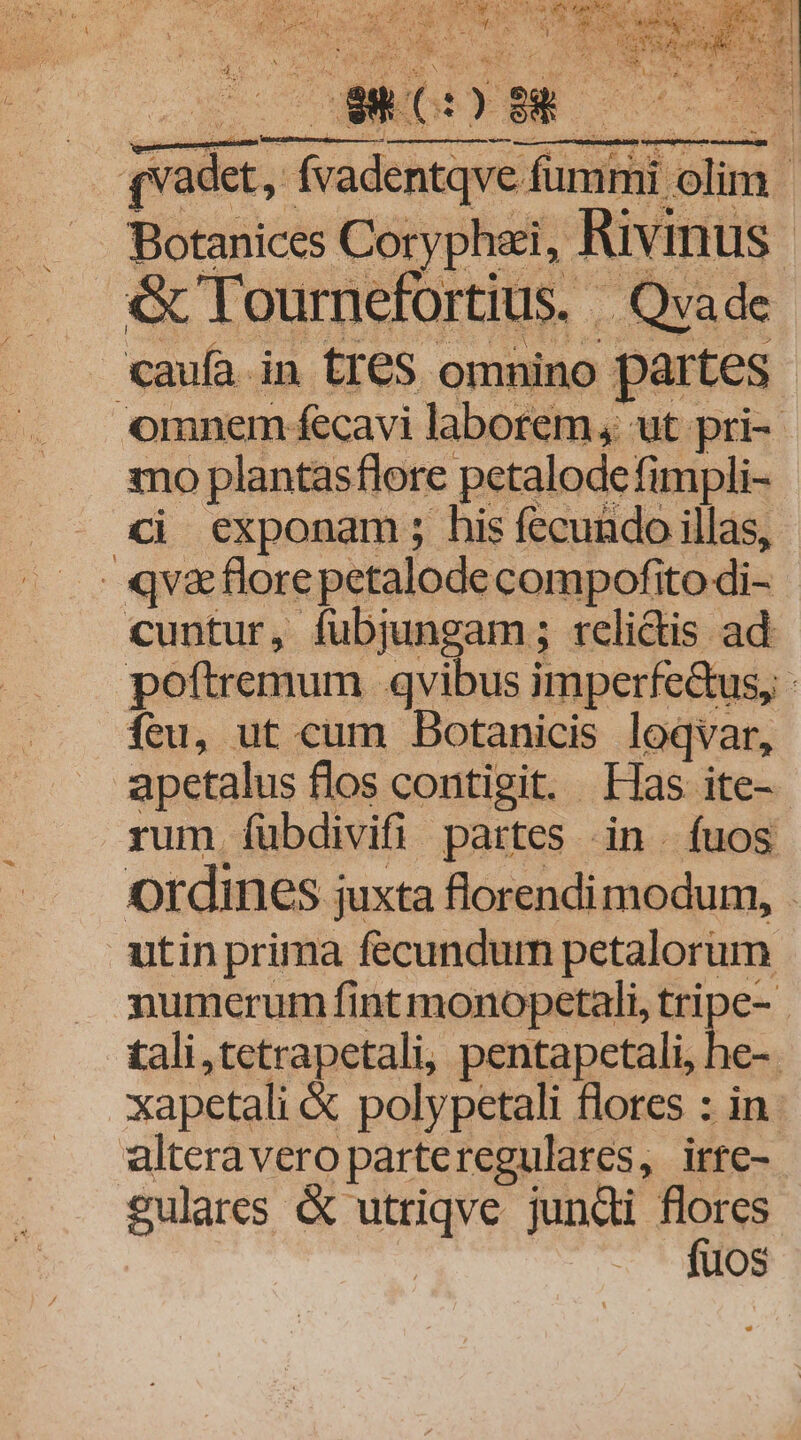 F 4vadet, fvadentqve fummi olim | Botanices Coryphaii, Rivinus. &amp; Tournefortius. Qvadc caufa. in tT€S omnino partes omnem fecavi laborem, ut pri-- mo plantasflore petalodefimpli- ci exponam; his fecundo illas, «qva florepetalode compofito di- cuntur, fubjungam; rcli&amp;is ad poftremum qvibus imperfe&amp;us, - feu, ut cum Dotanicis loqvar, apetalus flos contigit. Fas ite- rum íubdivifi partes .in fuos ordines juxta florendi modum, . utin prima fecundum petalorum numcrum fint monopetali, tripe- . tali,tetrapetali, pentapetali, he-. xapetali &amp; polypetali flores : in. alteravero parteregulares, irte- sulares &amp; utriqve jundi flores -« ^ duos