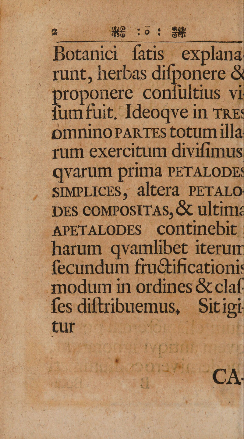 Botanici fatis. explana runt, herbas difponere &amp; proponere confültius vi tum fuit, Ideoqve in TRE: omnino PARTES totum illa rum exercitum divifimus qvarum prima PETALODE: SIMPLICES, altera PETALO DES COMPOSITAS, &amp; ultim: APETALODES continebit. harum qvamlibet iterum . fecundum fru&amp;ificationi: fesditribuemus, Sitigi