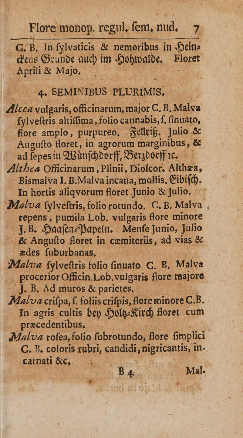 —ÀáB———————————————— G. B. In fylvaticis &amp; nemoribus in Jocitte Aprili &amp; Majo, 4. SEMINIBUS PLURIMIS, Alcea vulgaris, officinarum, major C. B, Malva fylvefiris aliiffima, folio cannabis, f. finuato, flore amplo, purpureo. Selrig. Julio &amp; Augufto floret, in agrorum marginibus, &amp; ad fepes in dBünfdborff, A:enberfi. ZAitbea Officinarum , Plinii, Diofcor. Alihgs, - Bismalva 1, B.Malva incana, mollis, Cibiftb. In hortis aliqvorum floret Junio &amp; Julio. repens , purila Lob, vulgaris flore minore jJ. B. Jaafenzapetn. Menfe Junio, Julio .&amp; Anguflo floret in cemiteriis, ad vias &amp; zdes fuburbanas, E Malva fylveftris folio f nuato. C. 3 Malva J.B. Ad muros &amp; parietes, — Malva crifpa, f. foliis crifpis, flore minore C. B. In agris cultis bey botte Sid floret cum | pracedentibus, J3Malva rofea, folio fulan andes flore fi mplici C. 3. coloris rubri, candidi, (Higricanndud in- carnati &amp;c, k * E