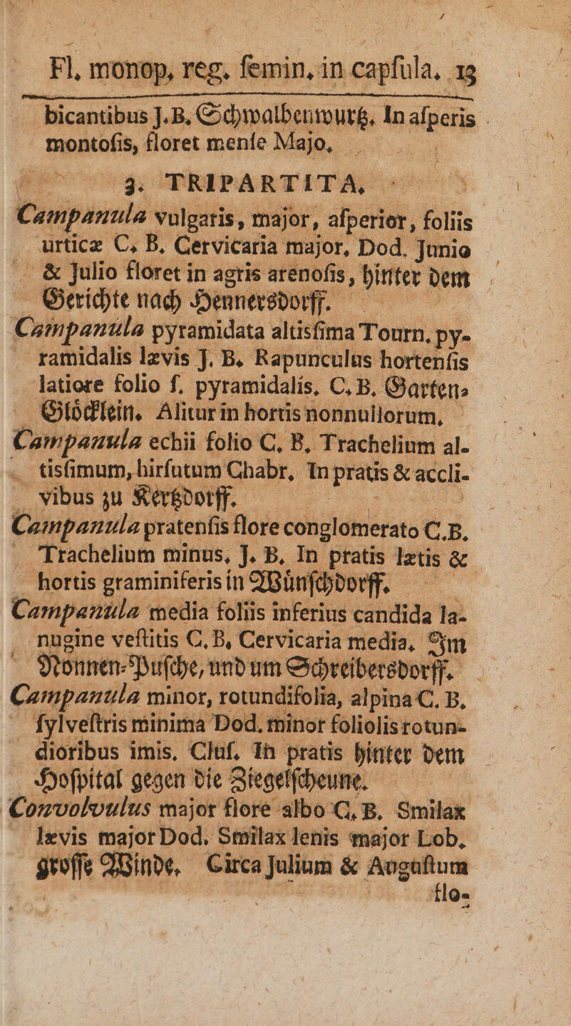 Fl, monop, reg. femin, in capfula, 13 bicantibus J.B. C d)talbertouté, In afperis . montofis, floret menfe Majo, Campanula vulgaris, major, afperier, foliis urticz C, B, Cervicaria major, Dod. Junio . &amp; Julio floret in agris arenofis, bitter Dem GOeidtenad Jennesbodf. —— ——— Campanula pyramidata altisfima Tourn, py- ramidalis lzvis J. B. Rapunculus hortenfis latiore folio f. pyramidalis, C, B. Garten; Oltbdiein. Aliturin horisnonnullorum, Campaauula echii folio C, B, Trachelium al. . ts(imum, hirfutum Chabr, Tn pratis &amp; accli- . vibus ju Seréootff. — bt EUR Campanula pratenfis flore conglomerato C. p, . Trachelinm minus, J. B, In pratis lztis &amp; hortis graminiferisin?fBünfd)oorff. — Campautila media foliis inferius candida la- . nugine veftitis C, B, Cervicaria media, 9m . Sonnen Dufdbe unb um ereibersborff. — Campanutila minor, rotundifolia, alpina C. B, Íylveftris minima Dod. minor foliolisrotun- dioribus imis, Cluf, 1n pratis biritet oem Syofpitat gesen bie Siegel:beune, —— Comvoloulus major flore-slbo:C, B. Smilak — levis major Dod. Stmilax lenis major Lob, greffe CfGinoe, — Girca Julium &amp; — | 11^